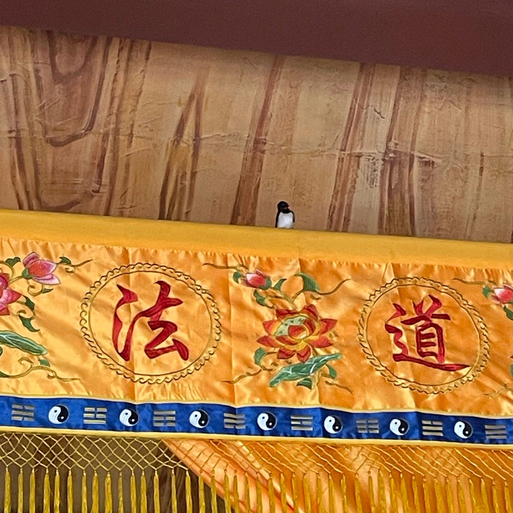 东京山旅行图片 2