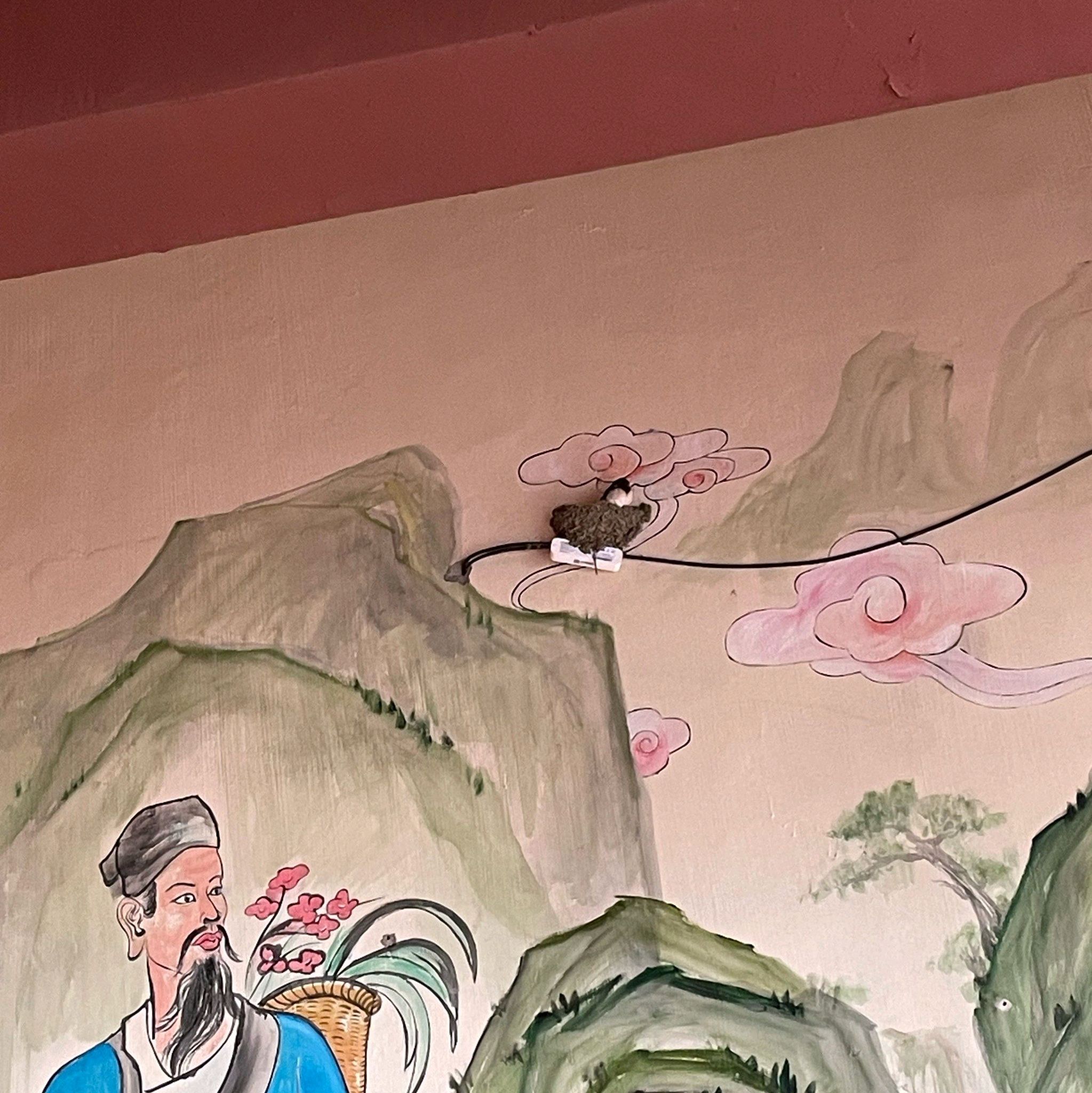 东京山旅行图片 3