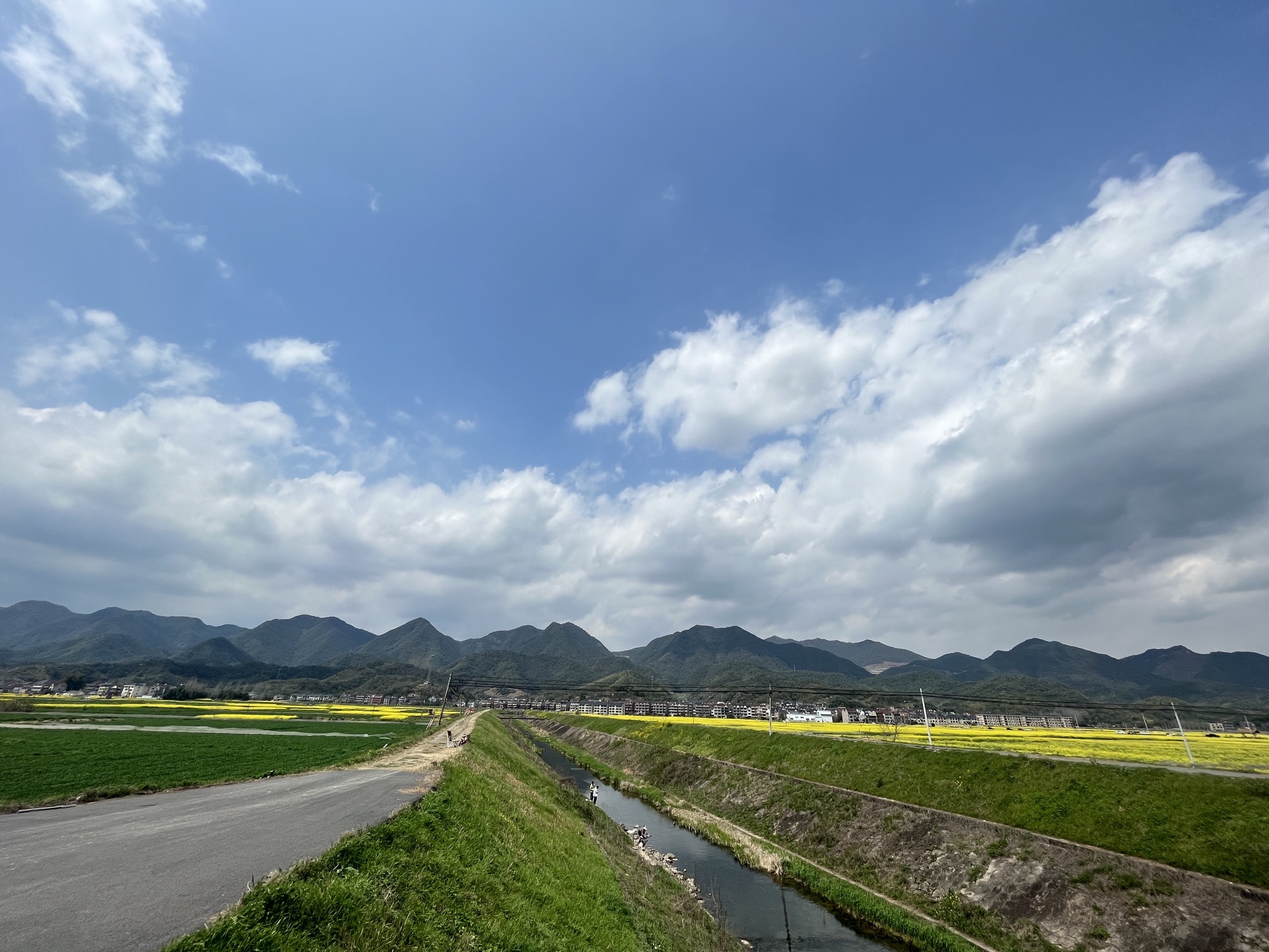 桐洲岛旅行图片 2