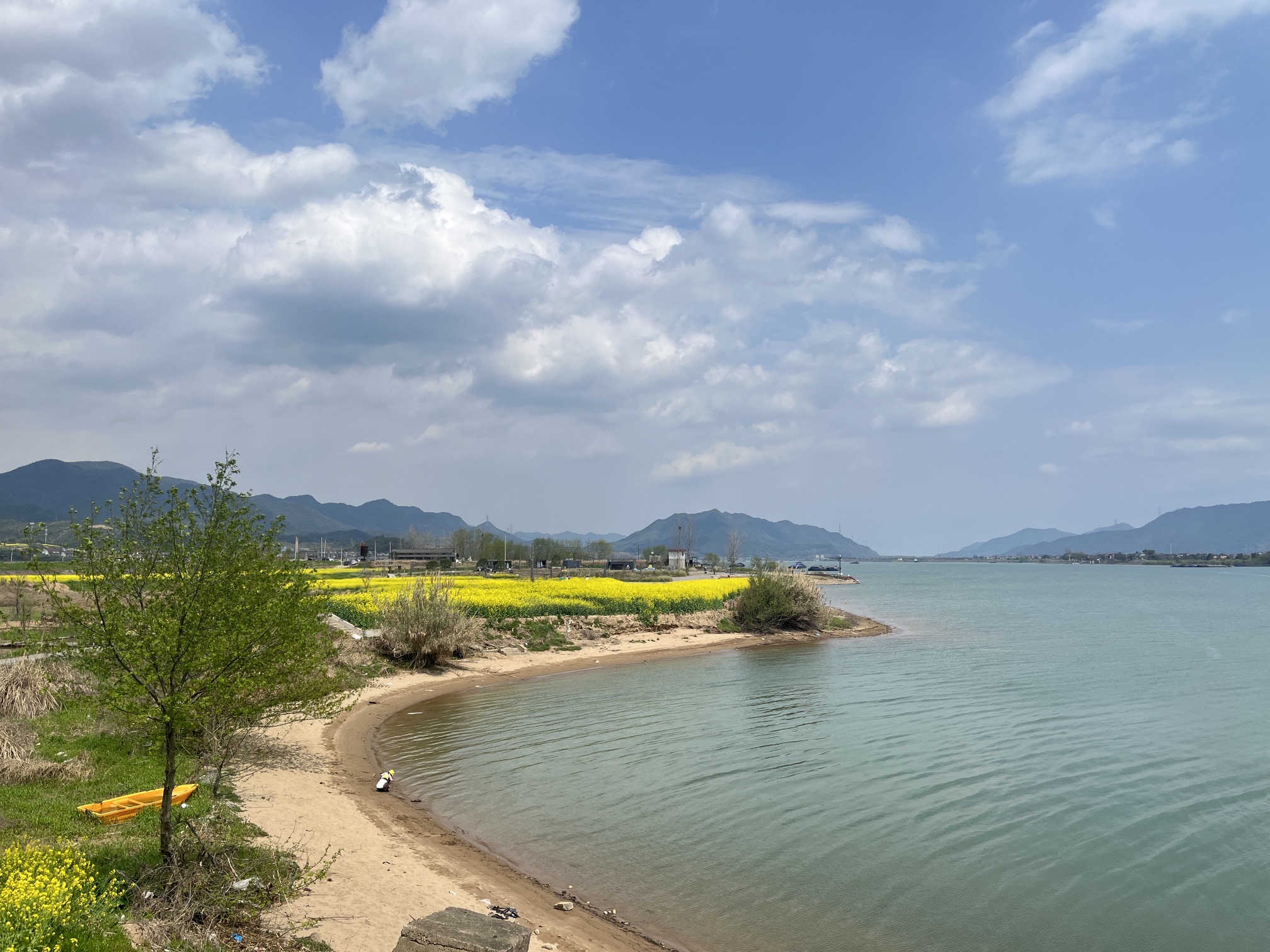 桐洲岛旅行图片 1