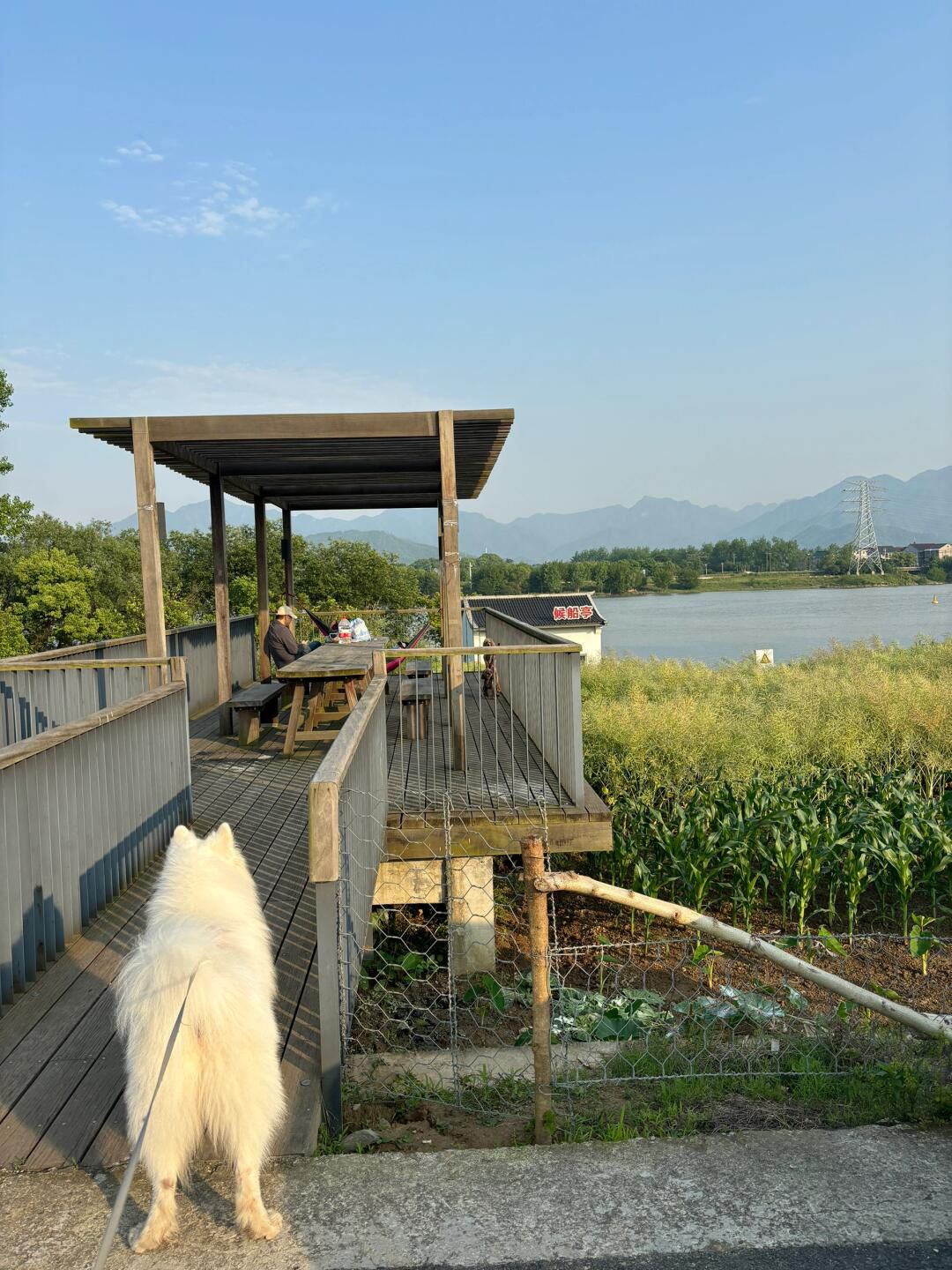 桐洲岛旅行图片 3
