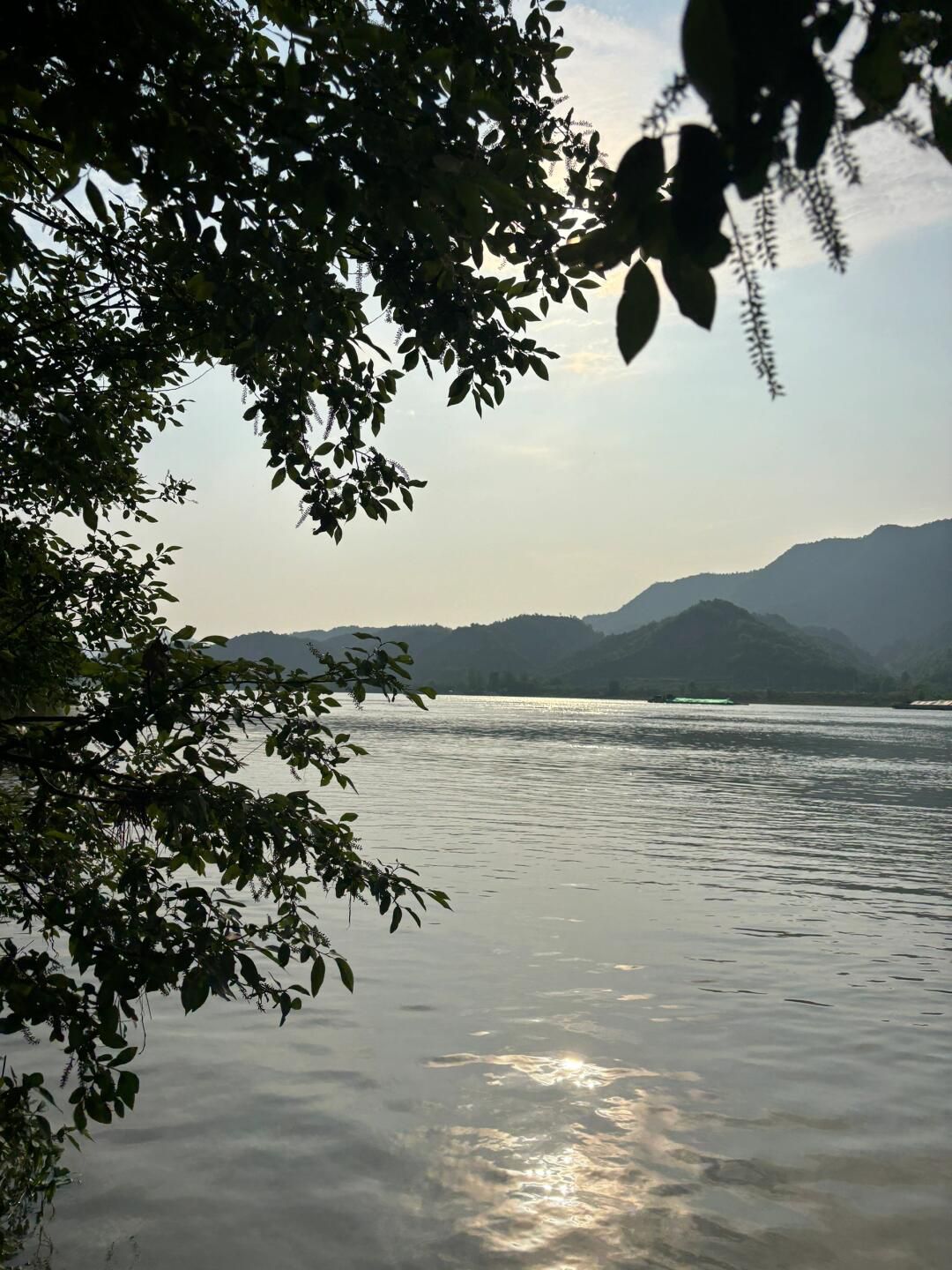 桐洲岛旅行图片 2