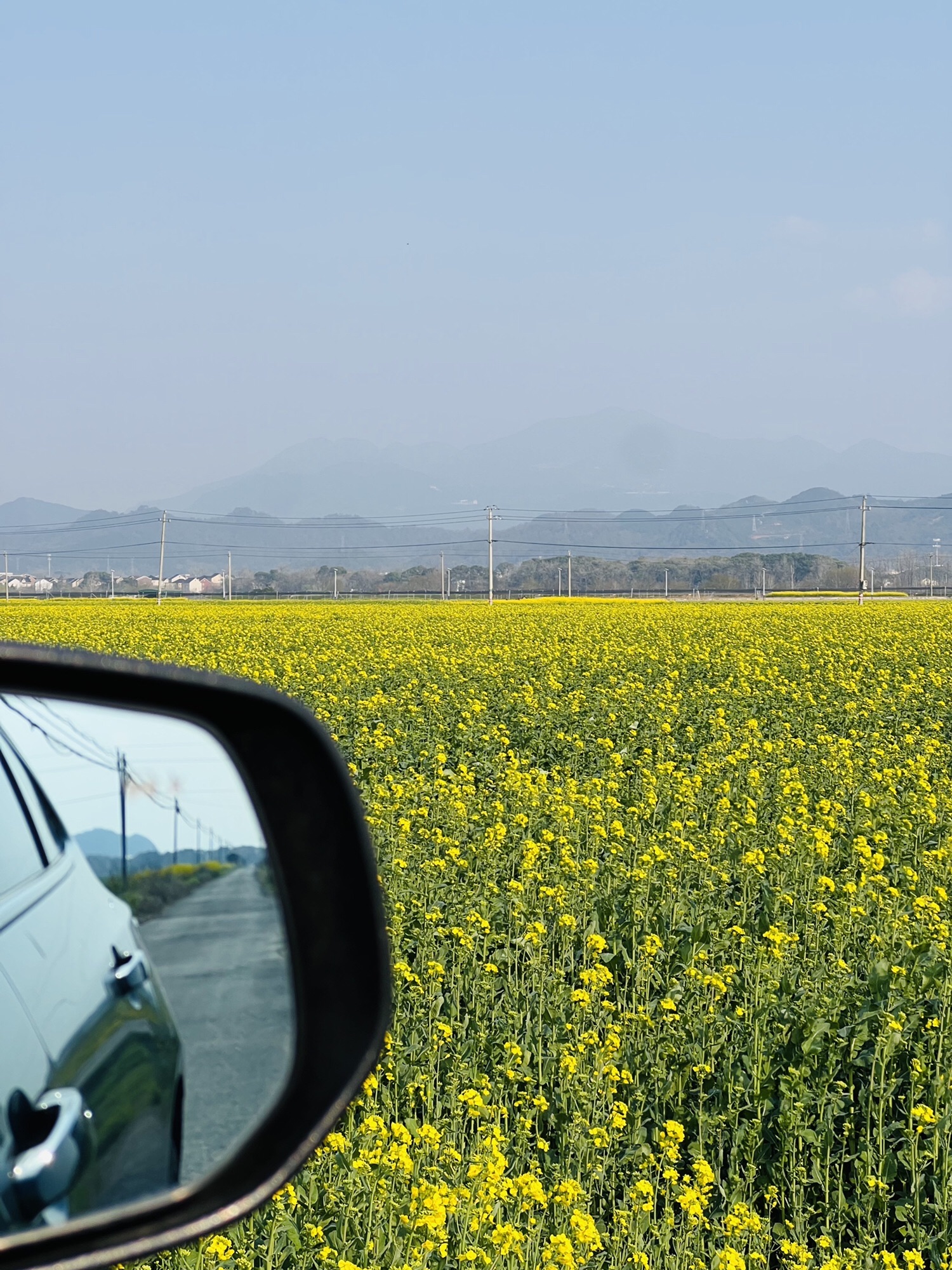 桐洲岛旅行图片 2