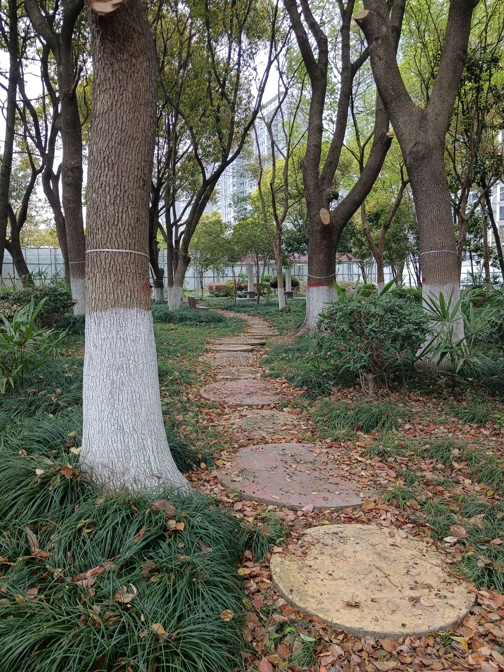 健康主题公园旅行图片 1