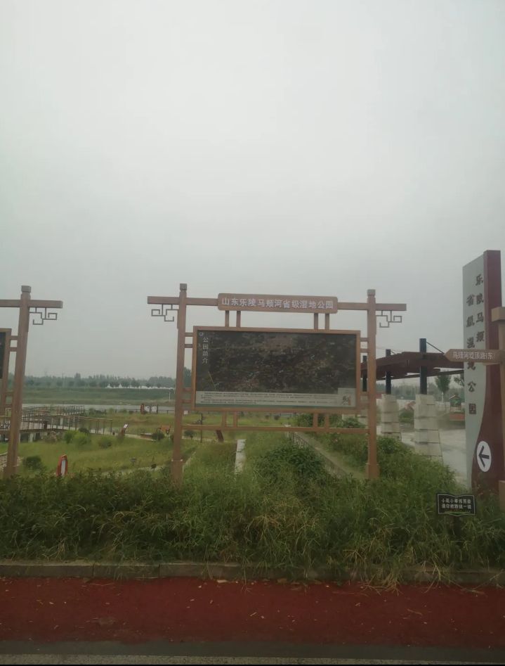 马颊河国家湿地公园旅行图片 1