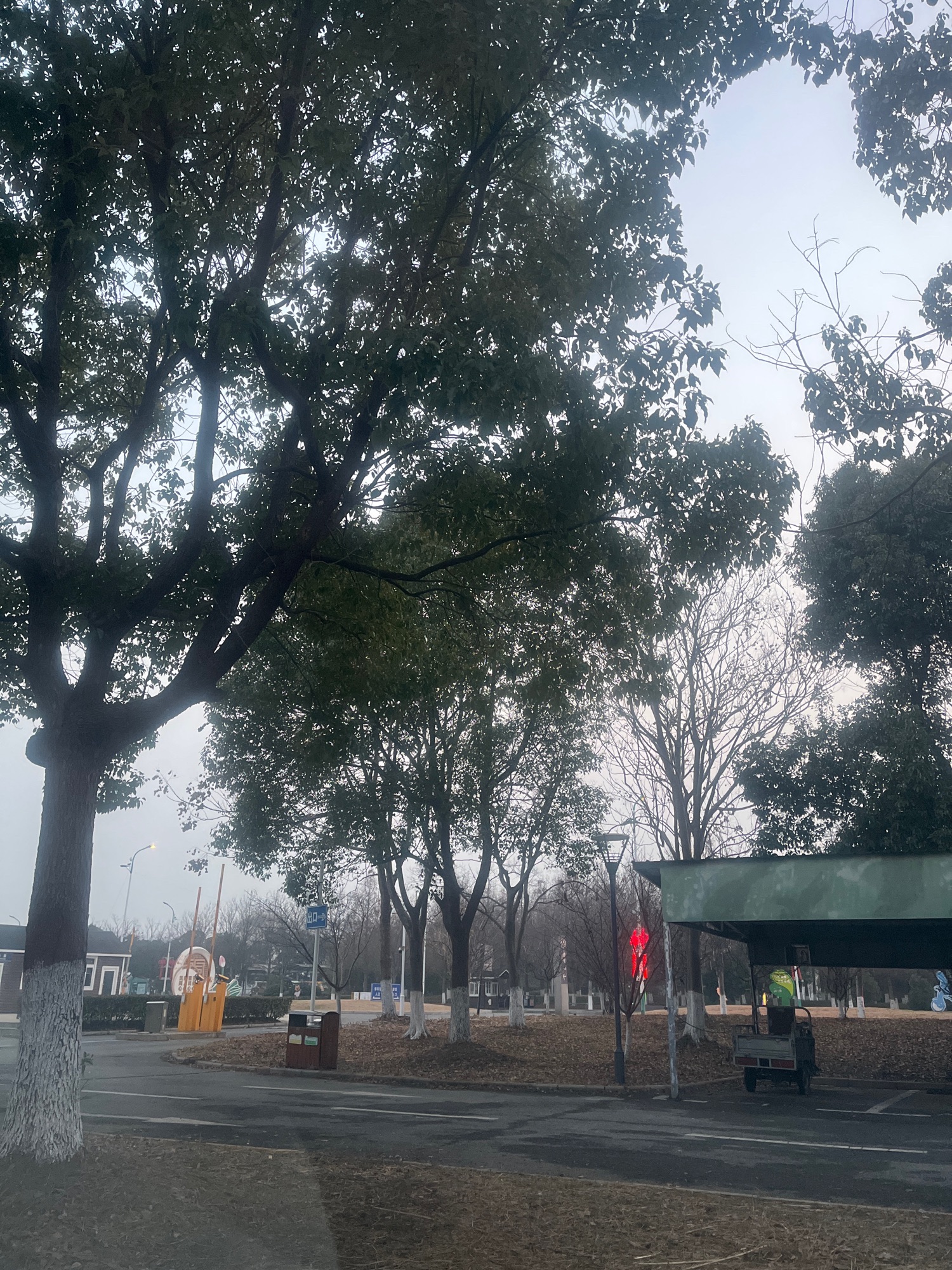 赤山湖国家湿地公园旅行图片 3