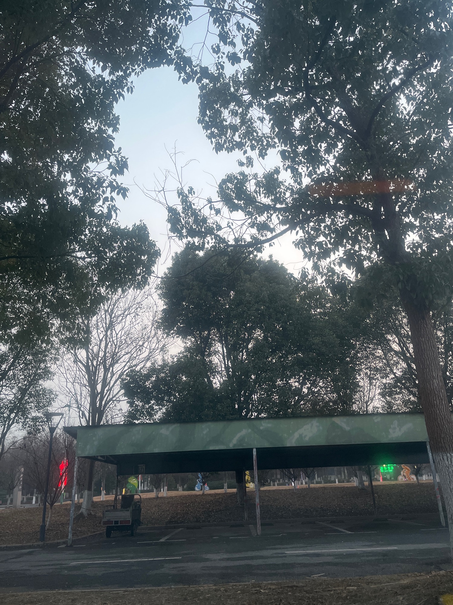 赤山湖国家湿地公园旅行图片 2