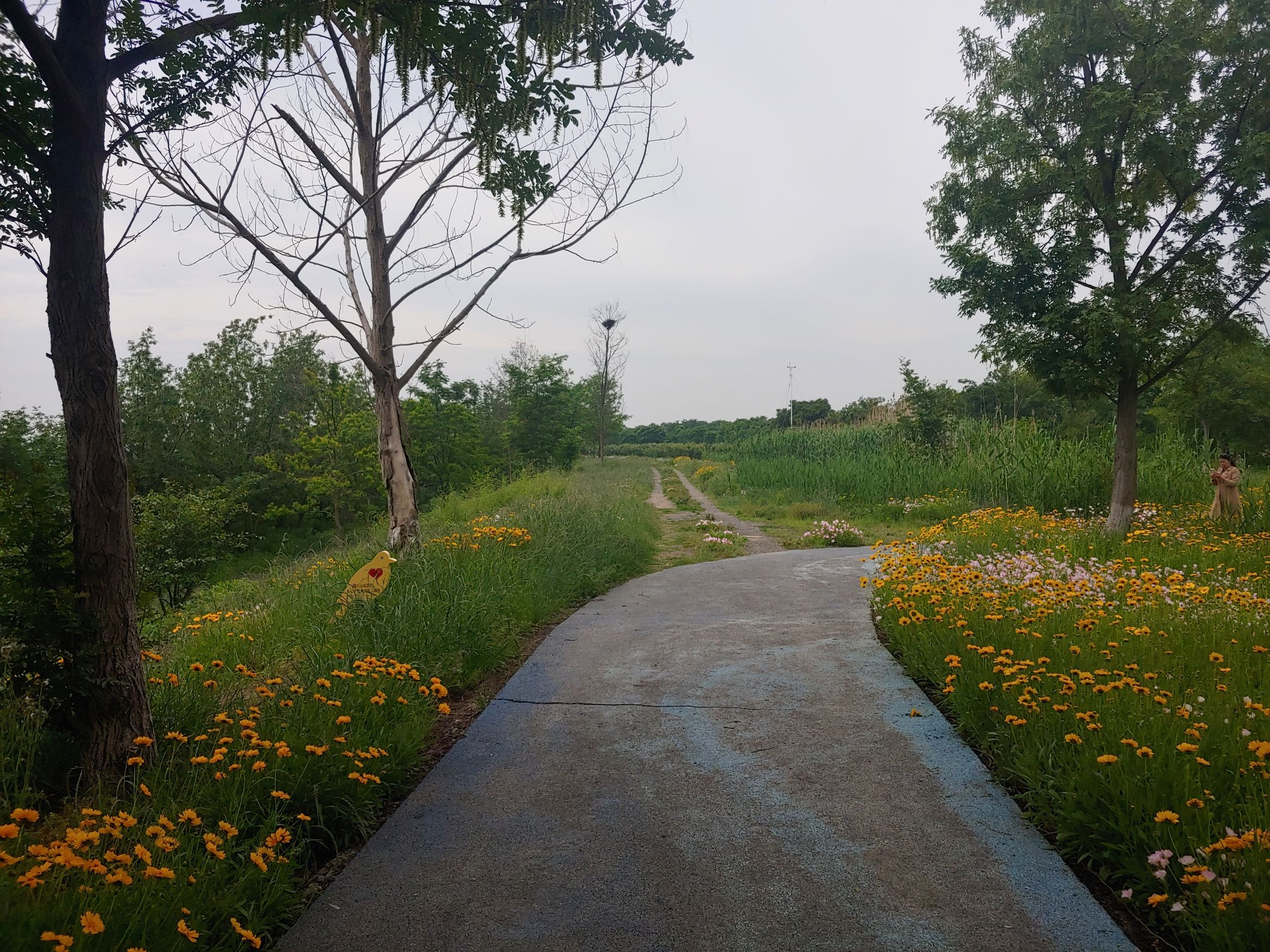 赤山湖国家湿地公园旅行图片 3