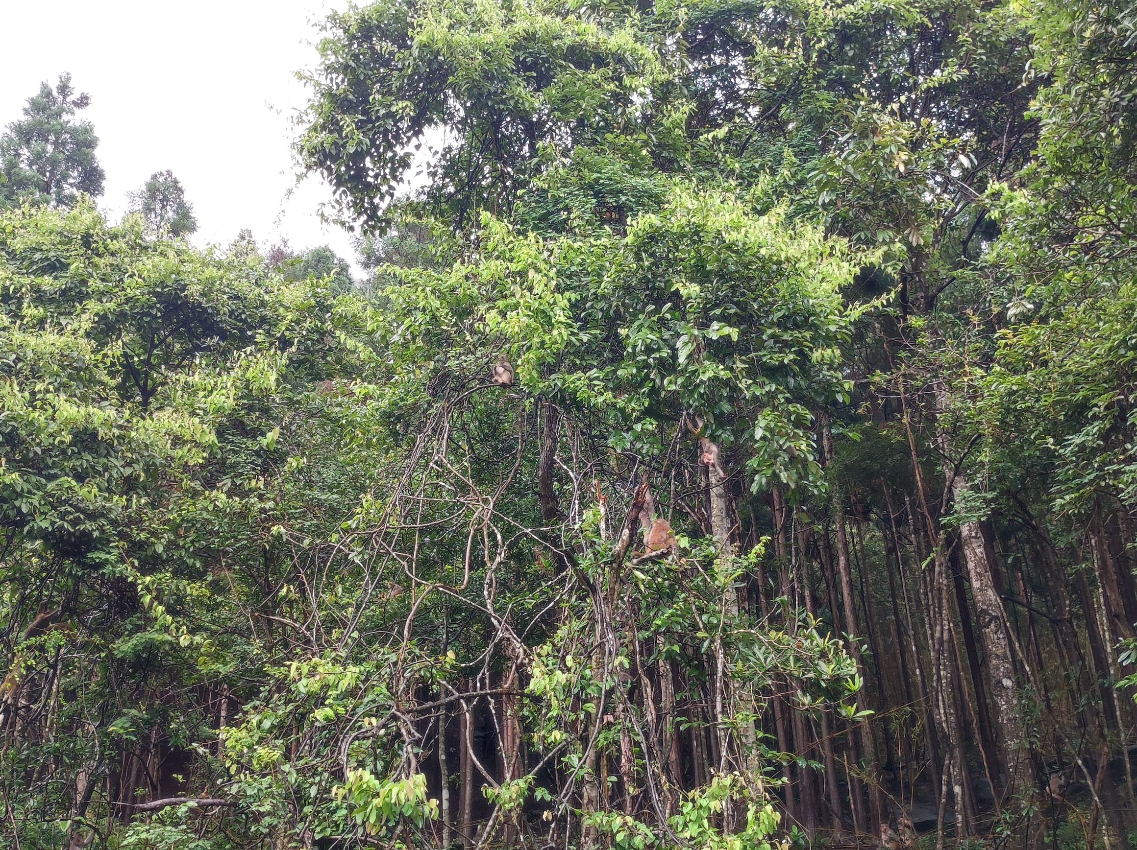 贺州姑婆山旅游区旅行图片 2