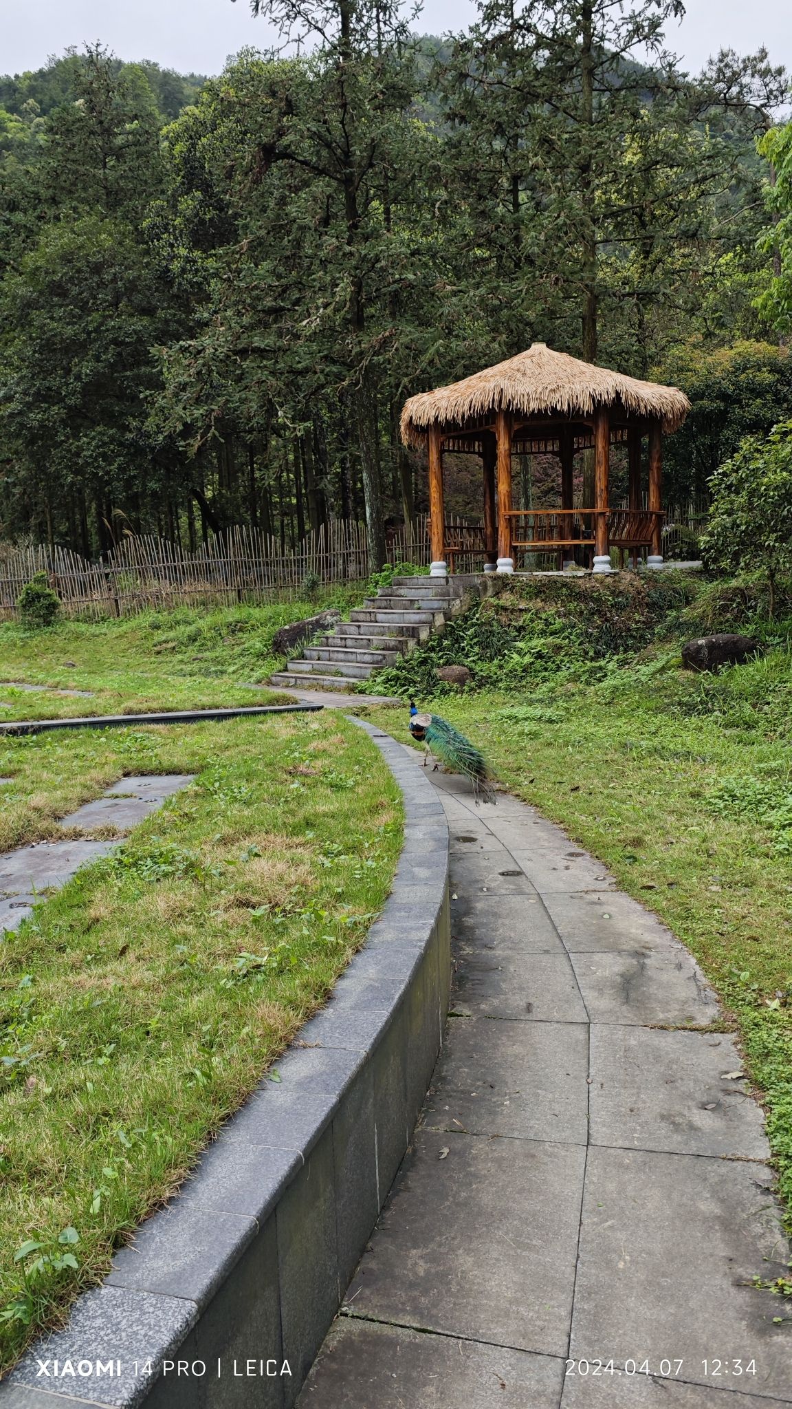 贺州姑婆山旅游区旅行图片 1
