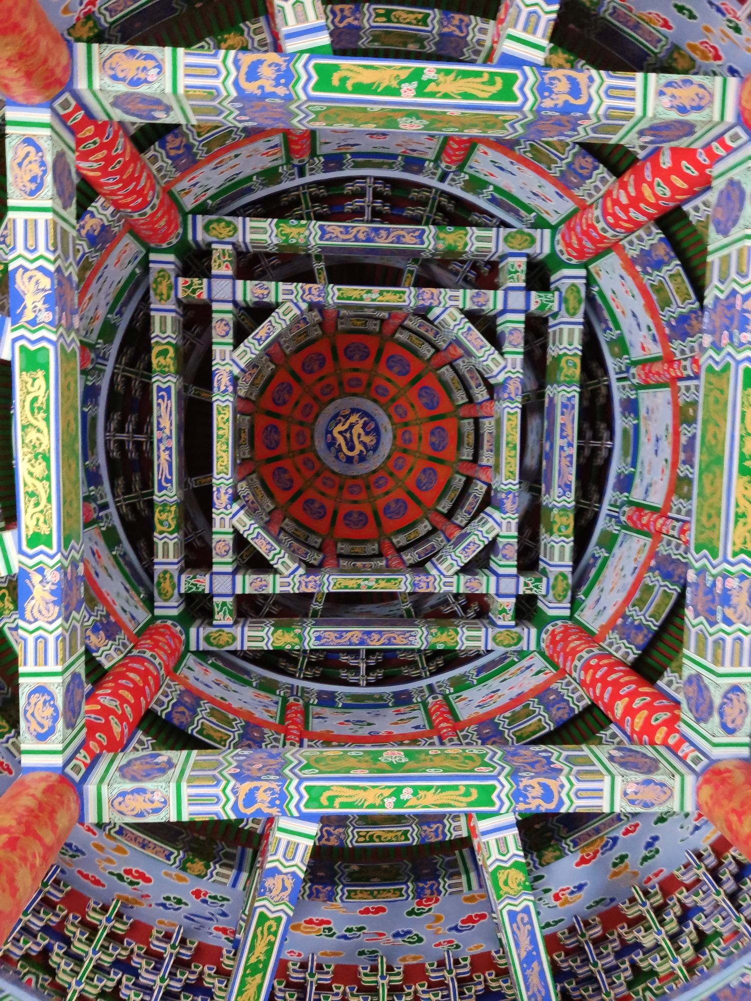 华夏植物群地质公园旅行图片 3