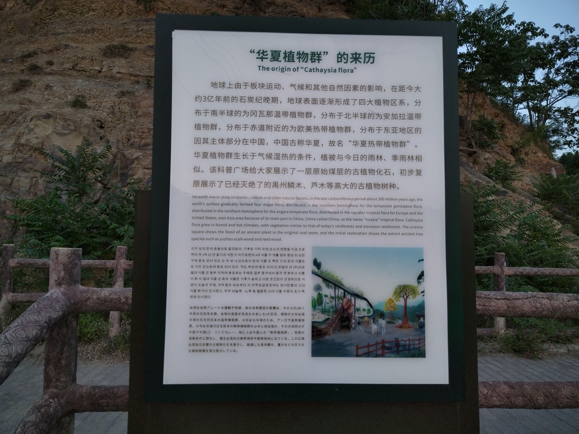 华夏植物群地质公园旅行图片 3