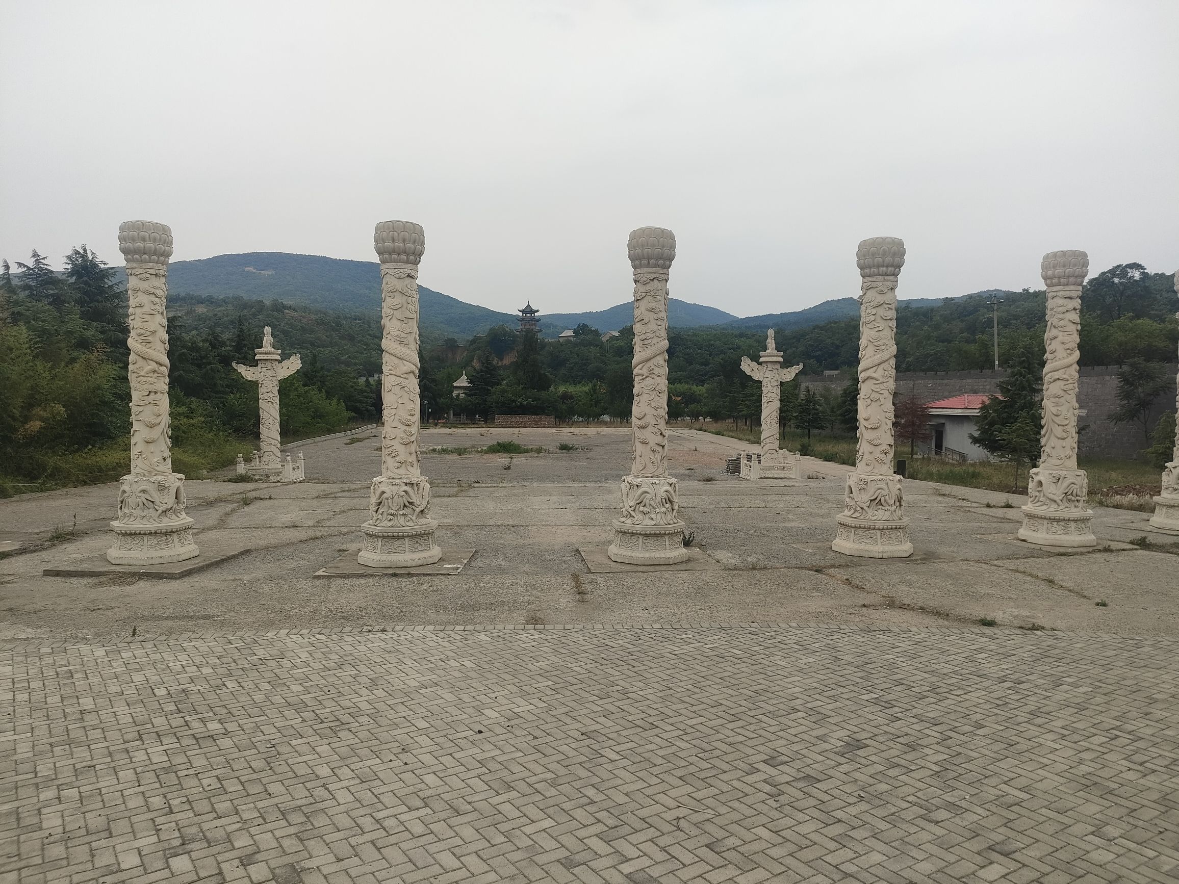 华夏植物群地质公园旅行图片 1
