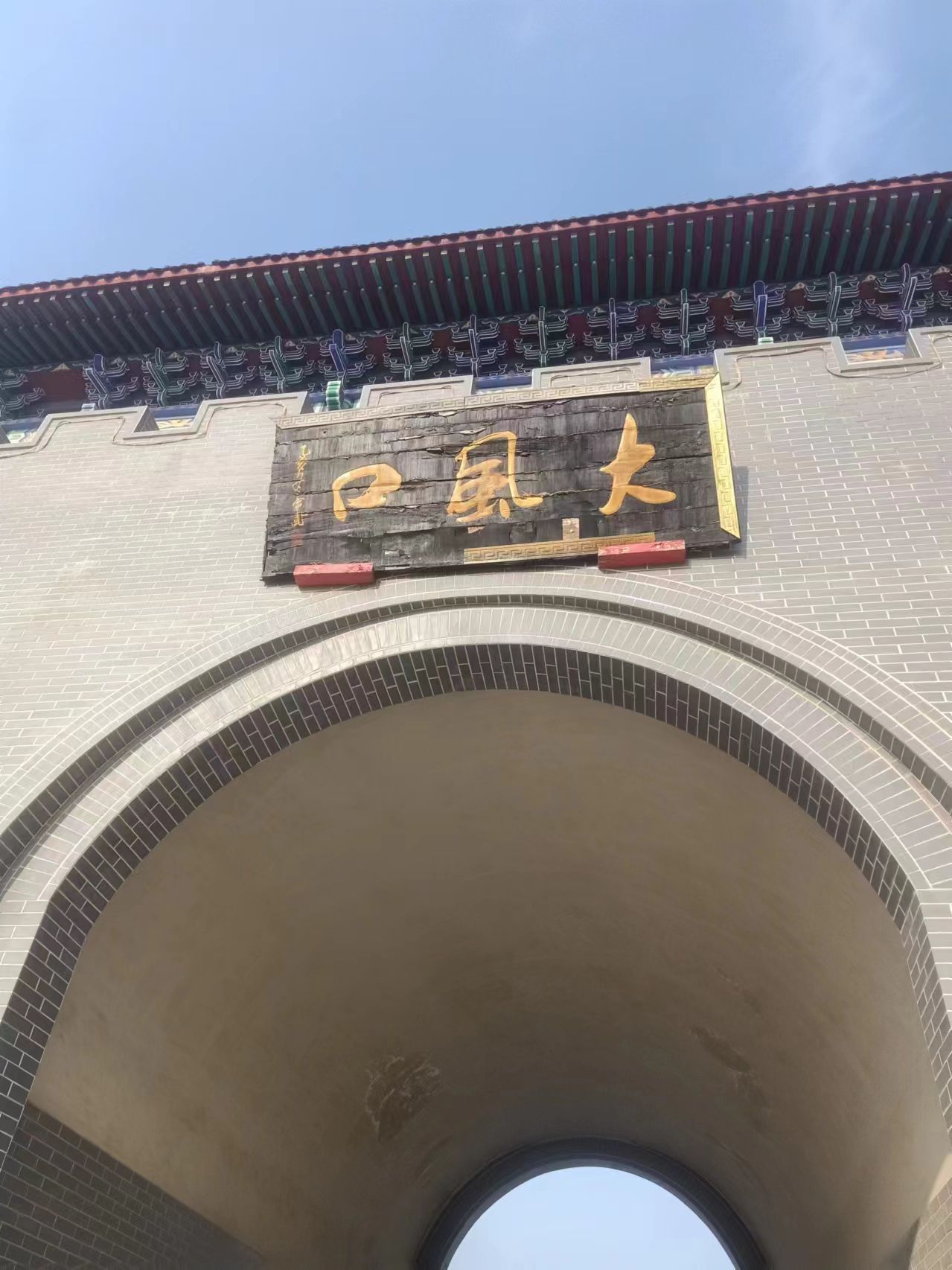 华夏植物群地质公园旅行图片 2