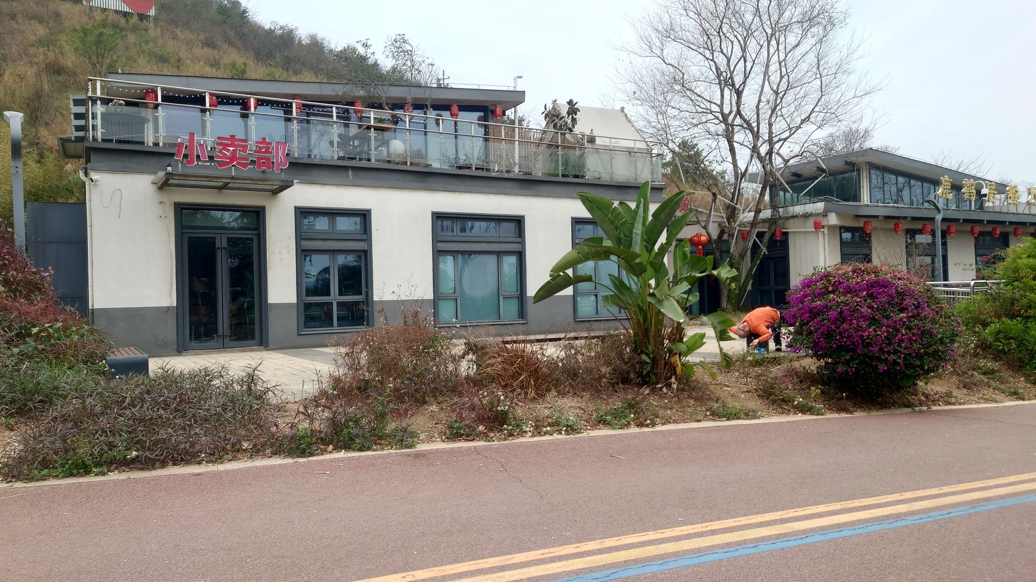鹿寨山公园旅行图片 2