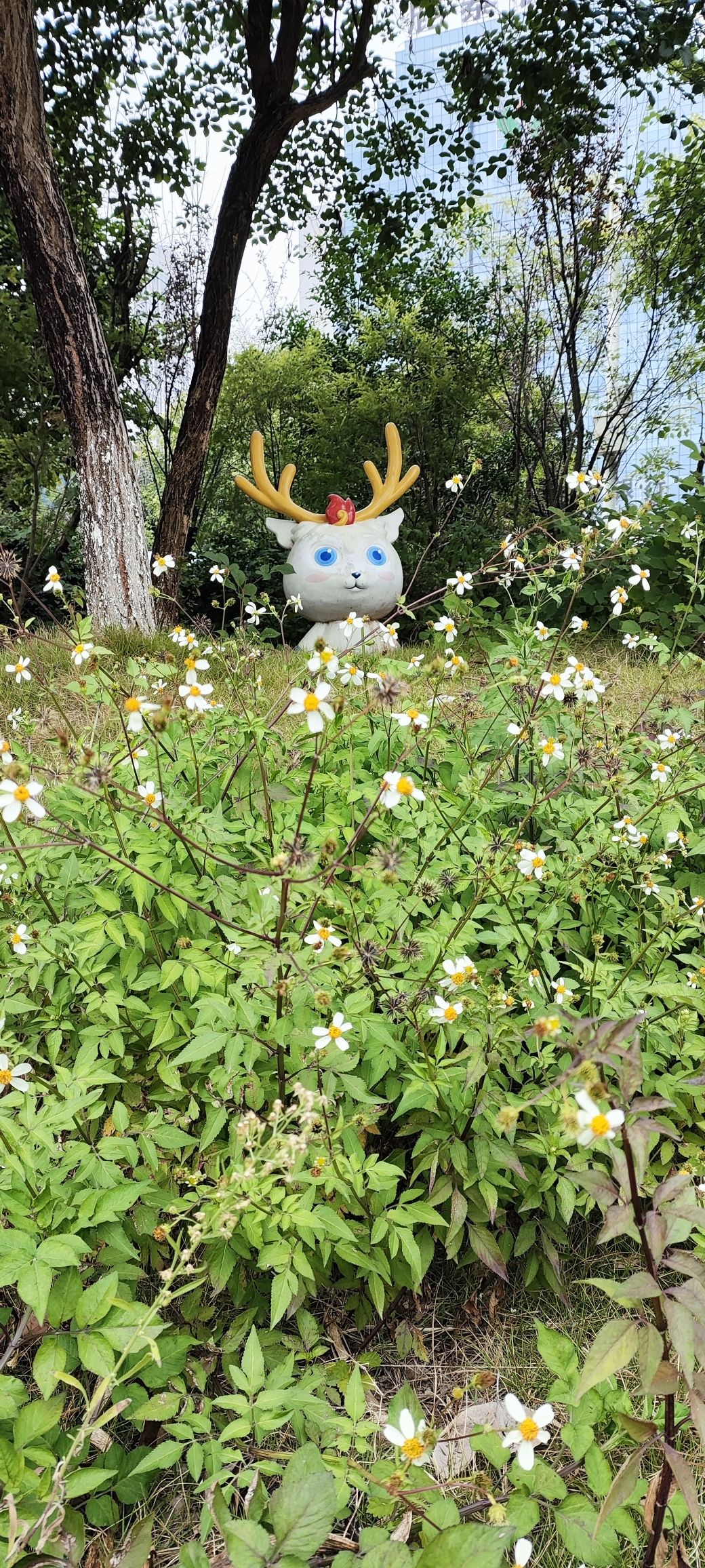 鹿寨山公园旅行图片 3