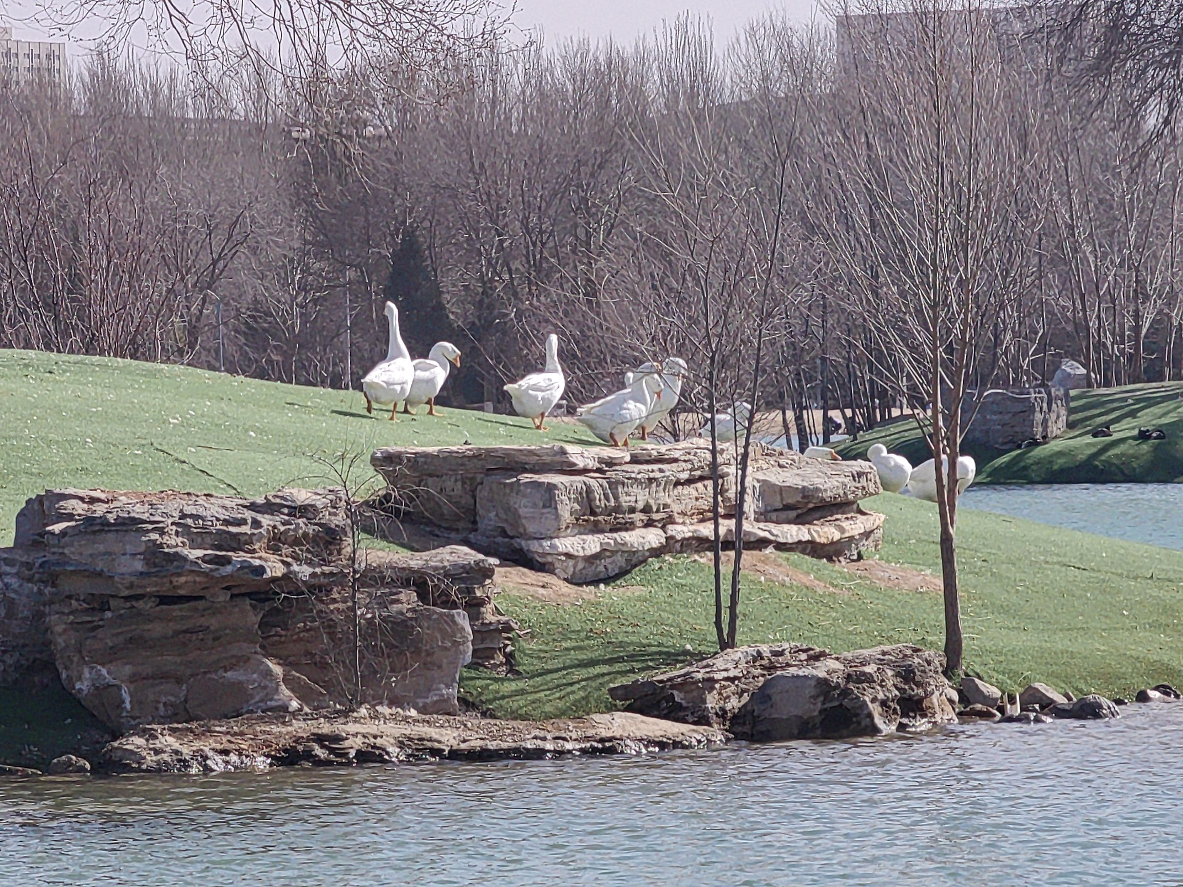 奥林匹克公园旅行图片 1
