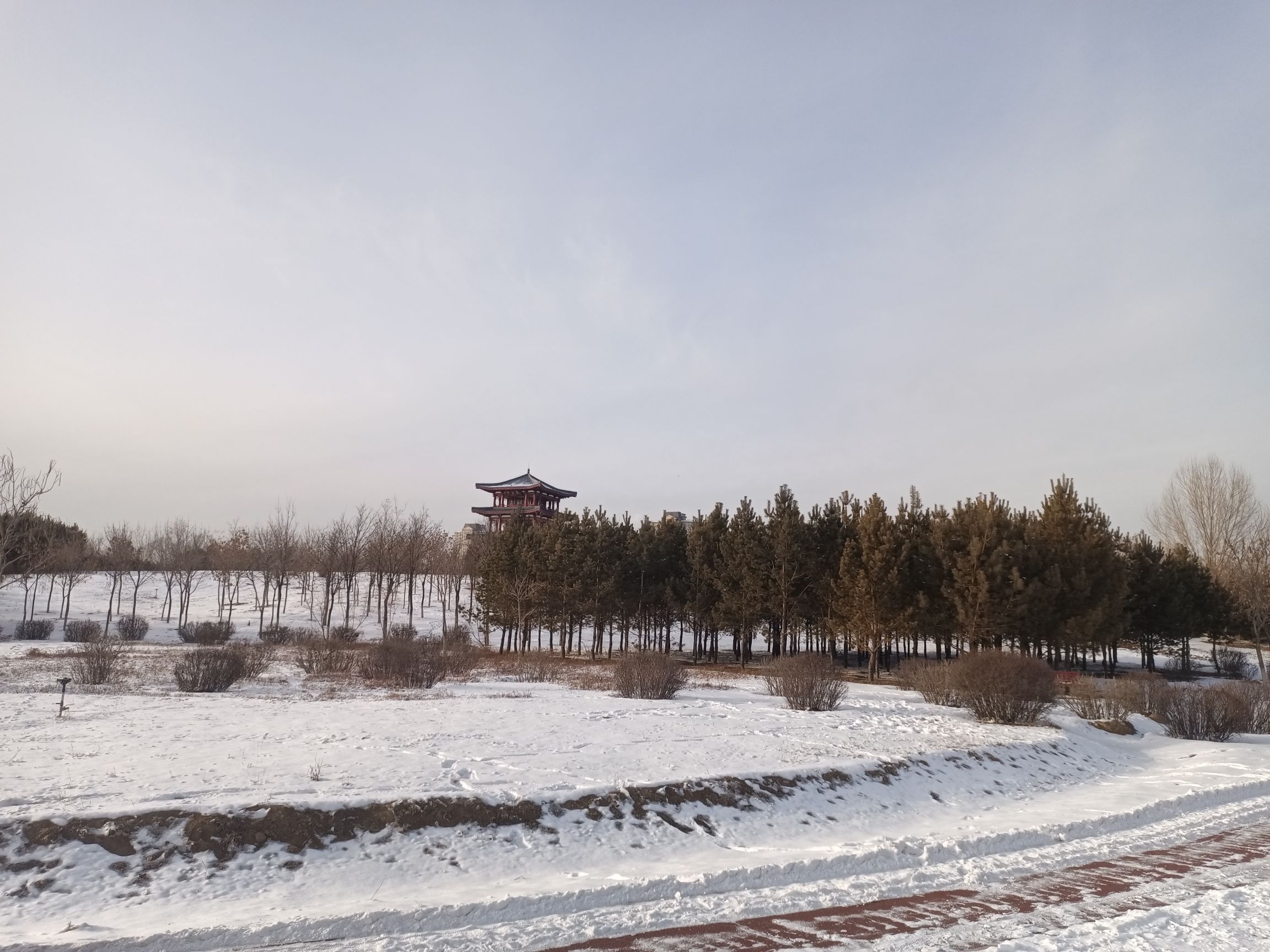 奥林匹克公园旅行图片 1