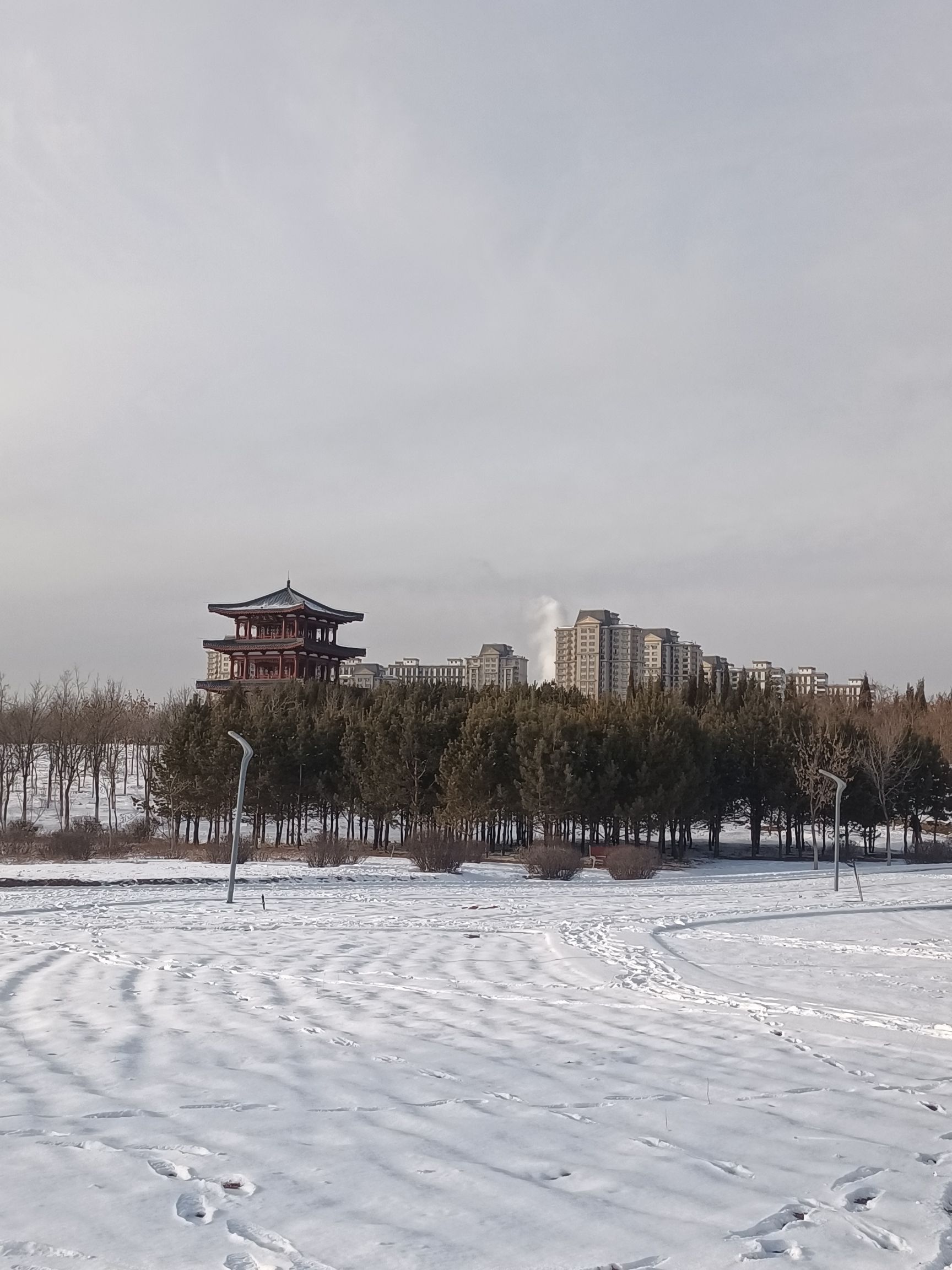 奥林匹克公园旅行图片 2