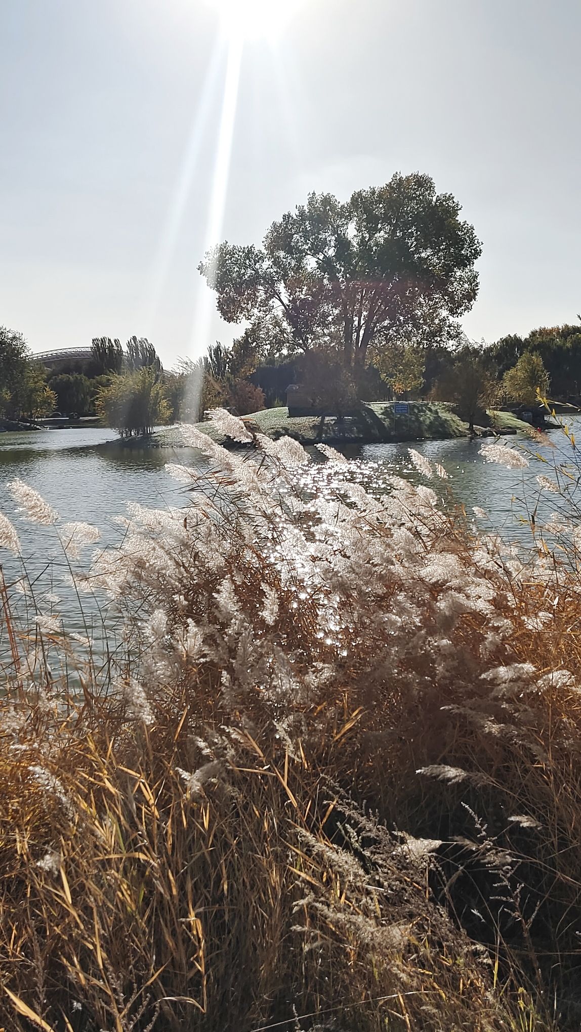 奥林匹克公园旅行图片 2