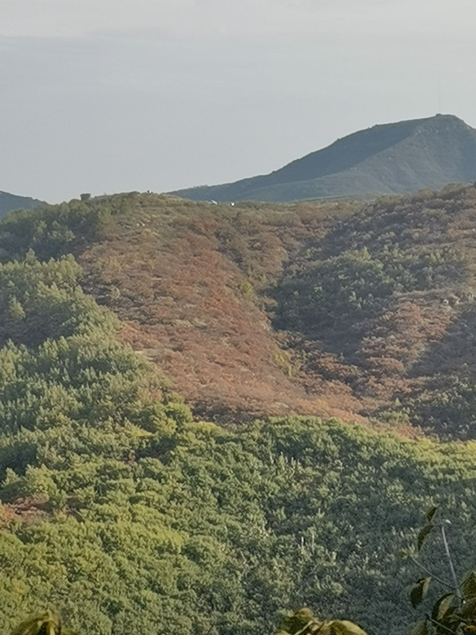 大蹶山红叶谷旅行图片 2