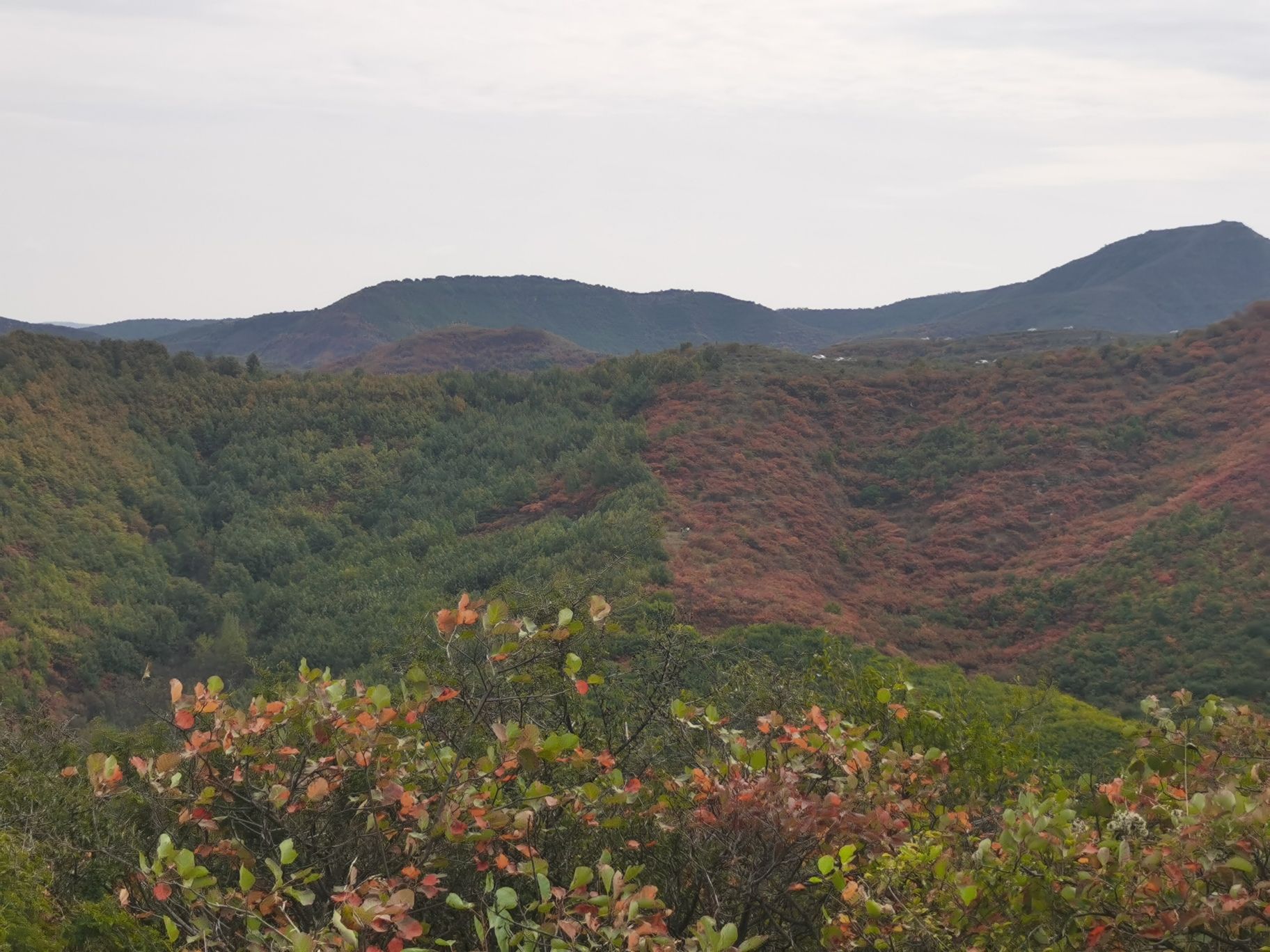 大蹶山红叶谷旅行图片 1