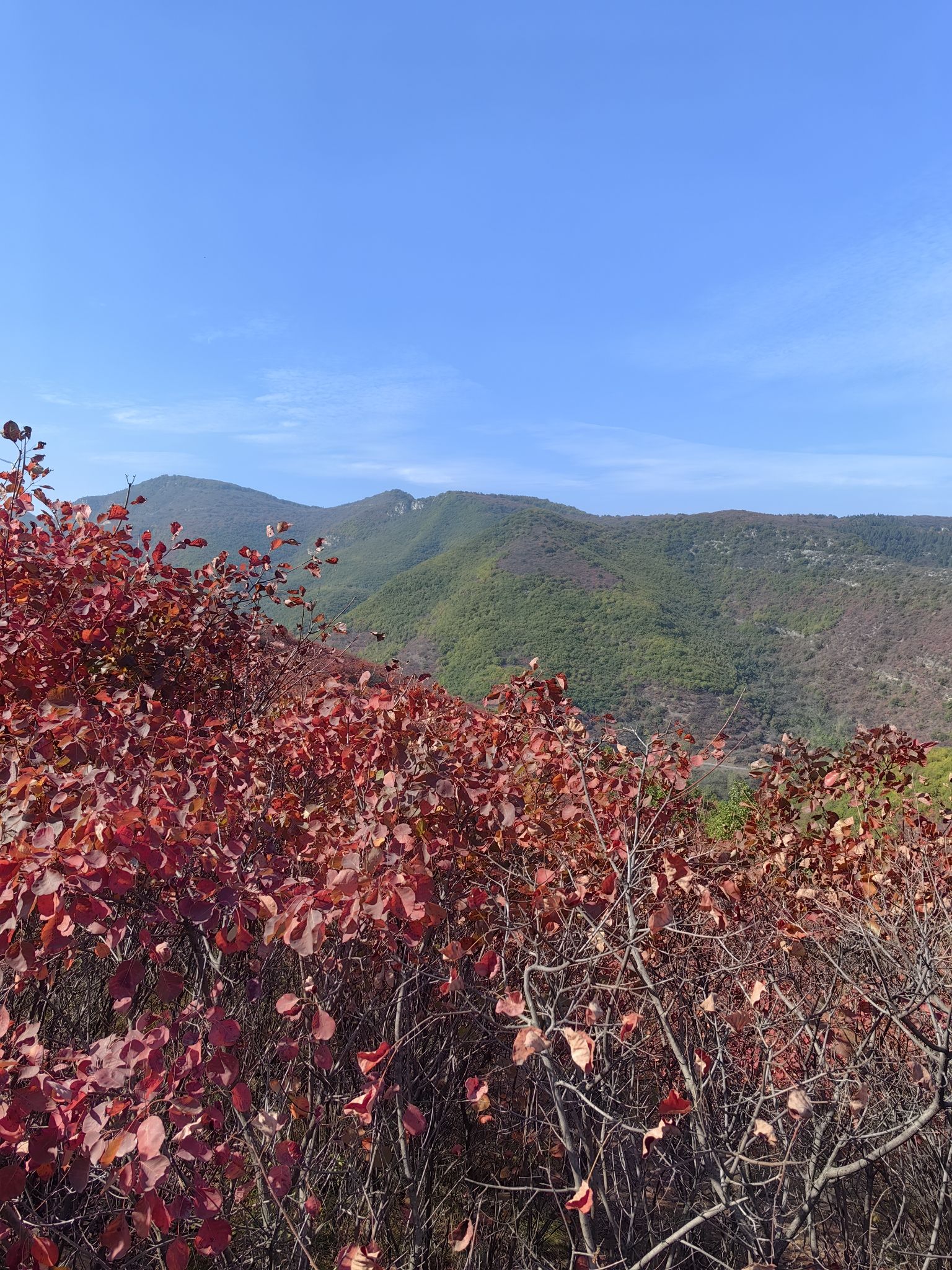 大蹶山红叶谷旅行图片 1