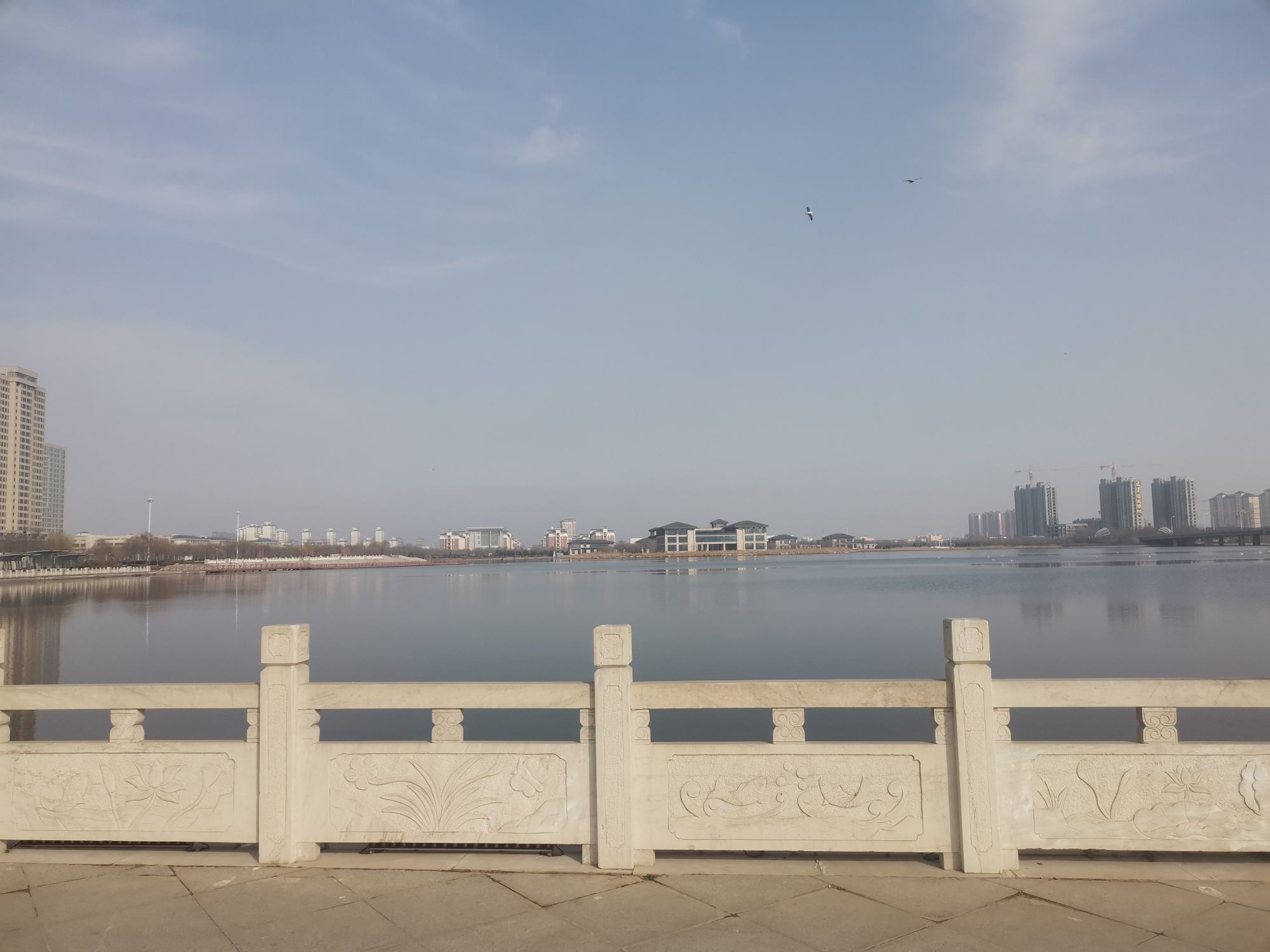 博海公园旅行图片 2