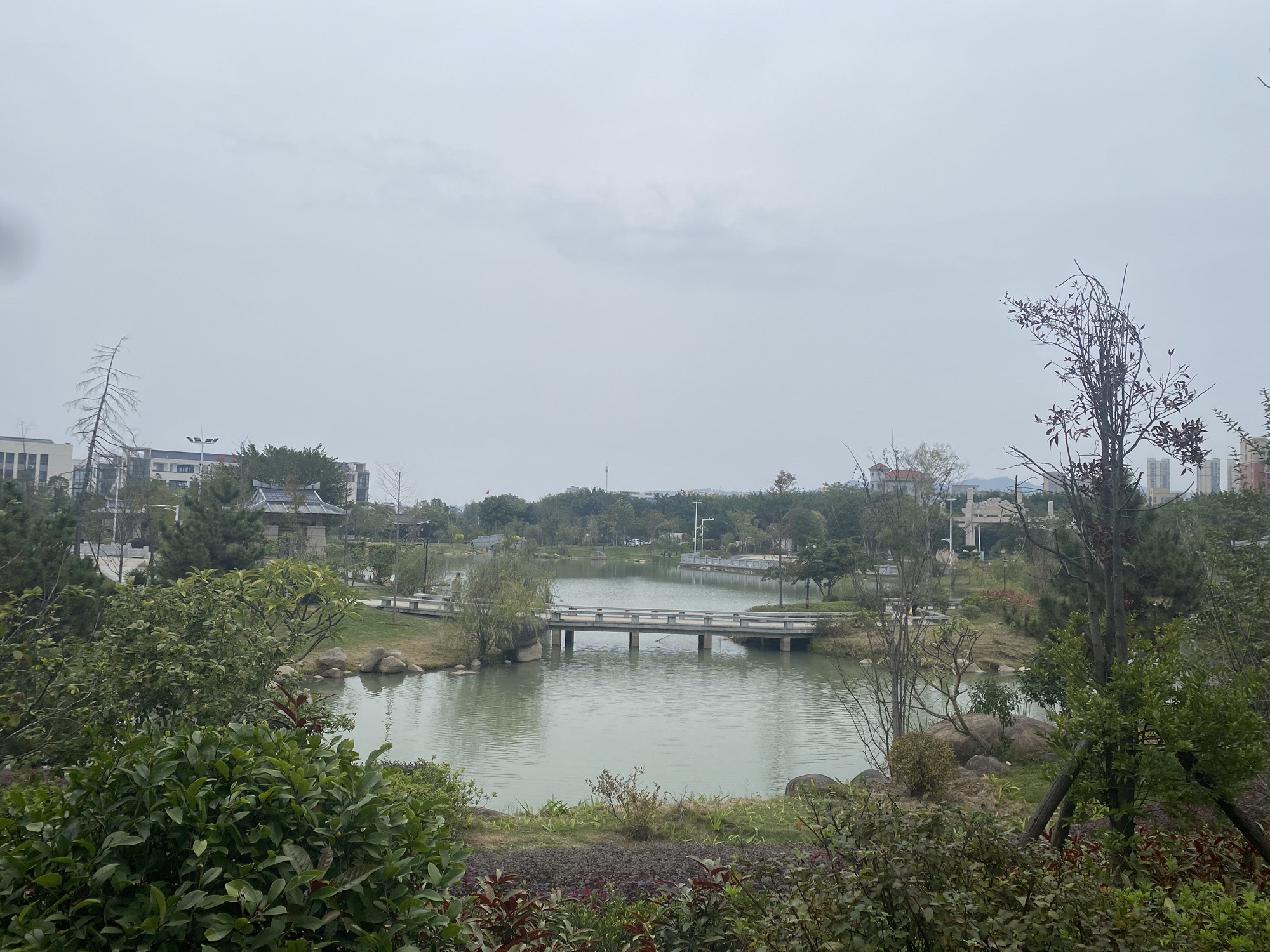 林森公园旅行图片 1