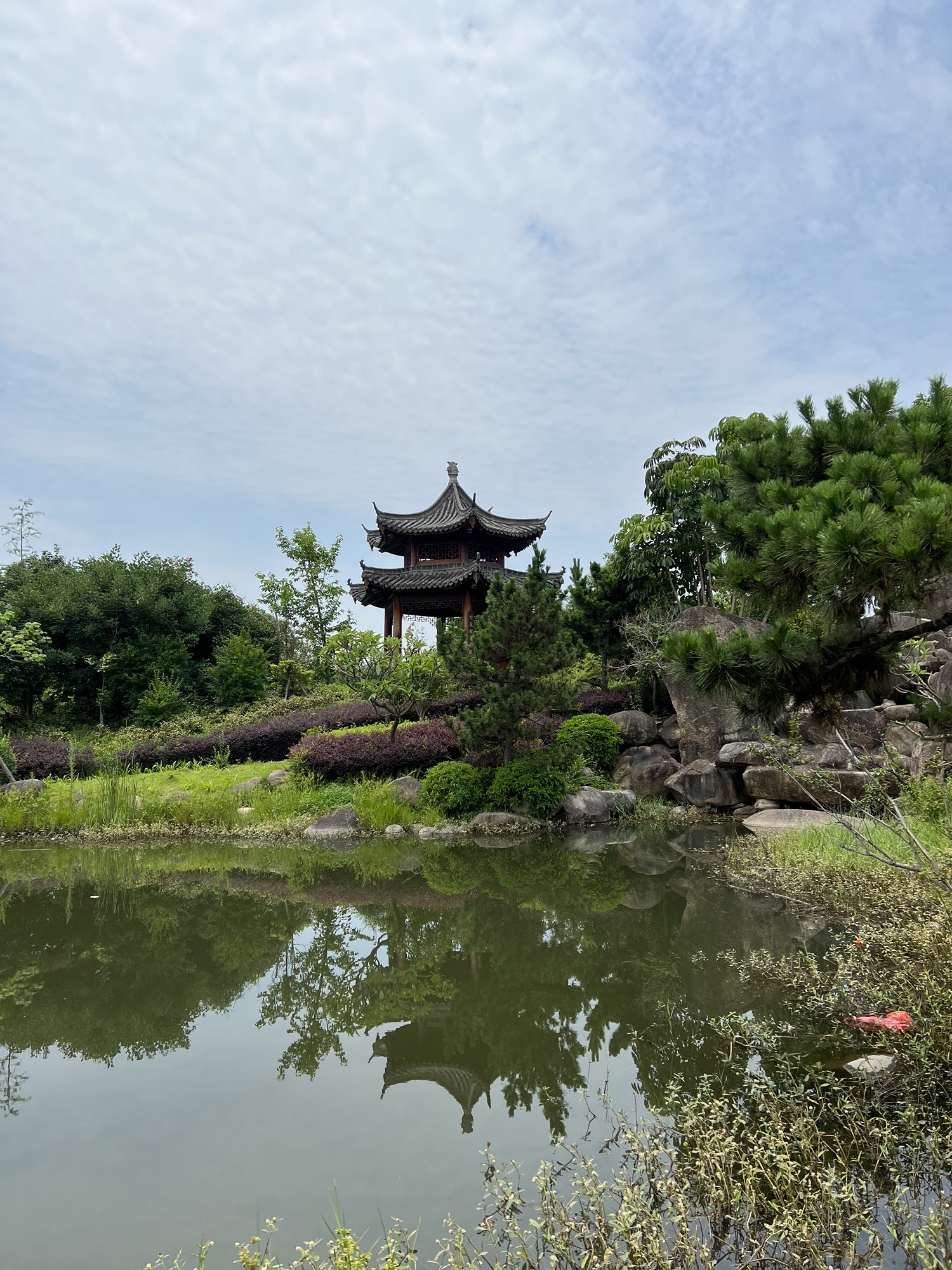 林森公园旅行图片 2