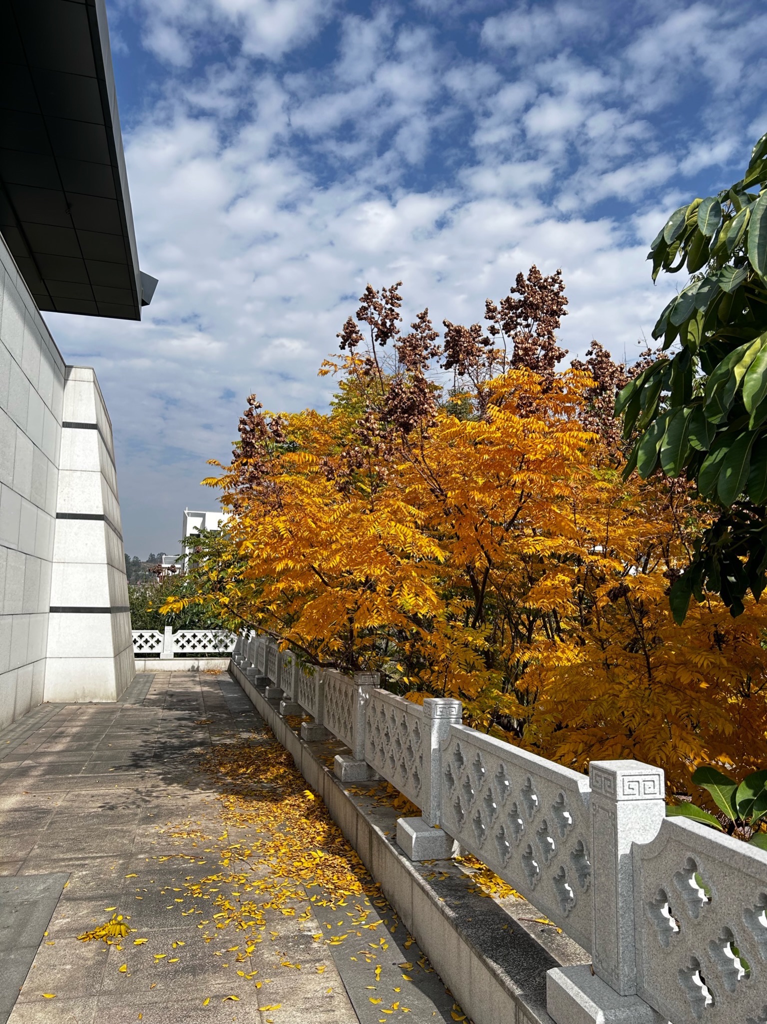 林森公园旅行图片 3