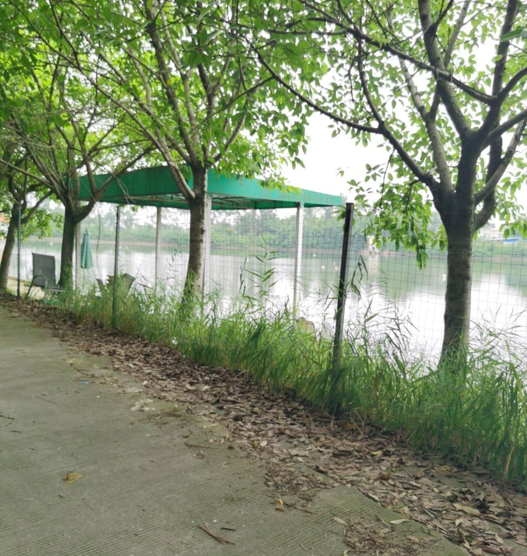 团结水库旅行图片 1