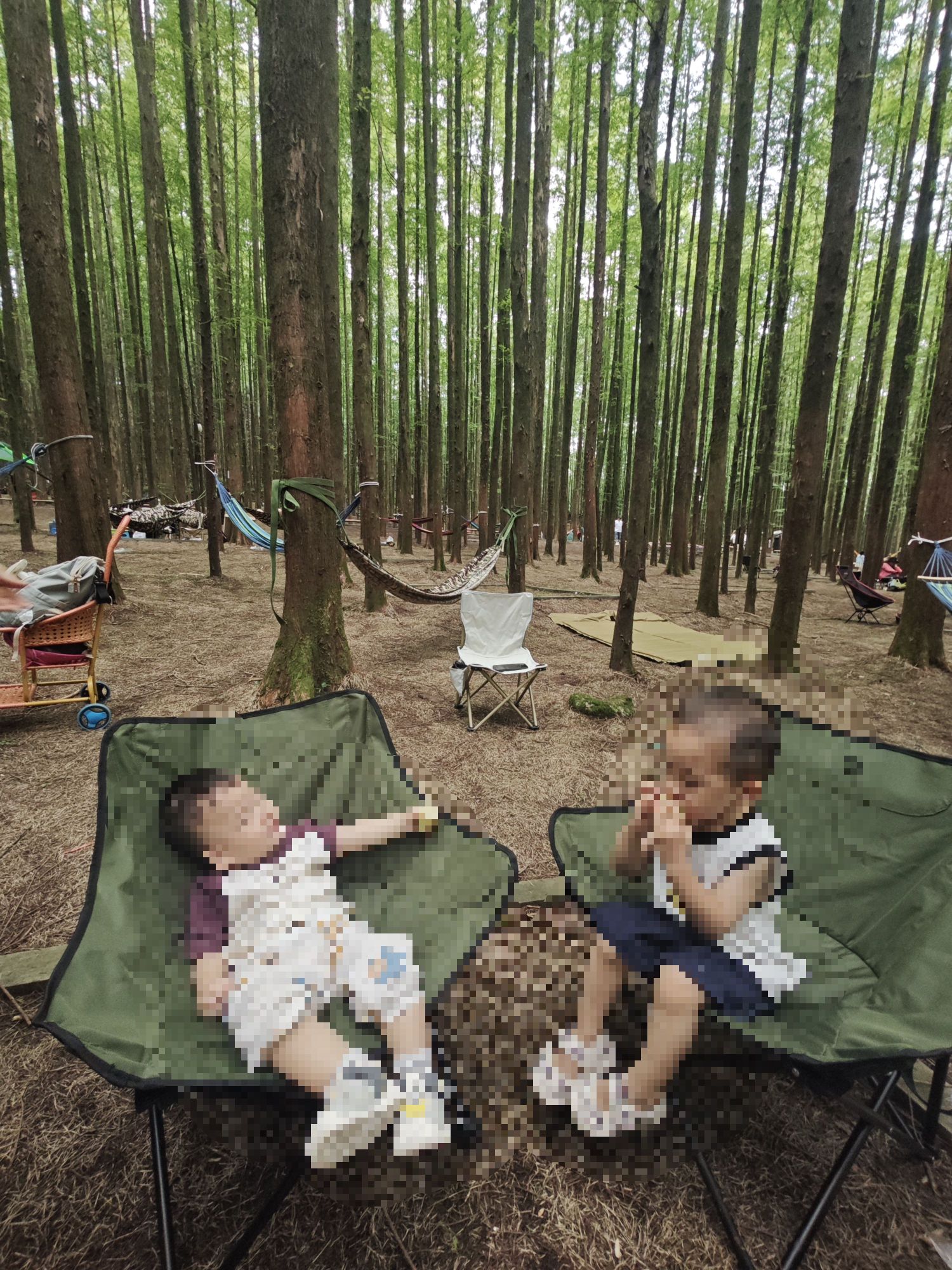 山王坪喀斯特国家生态公园旅行图片 3