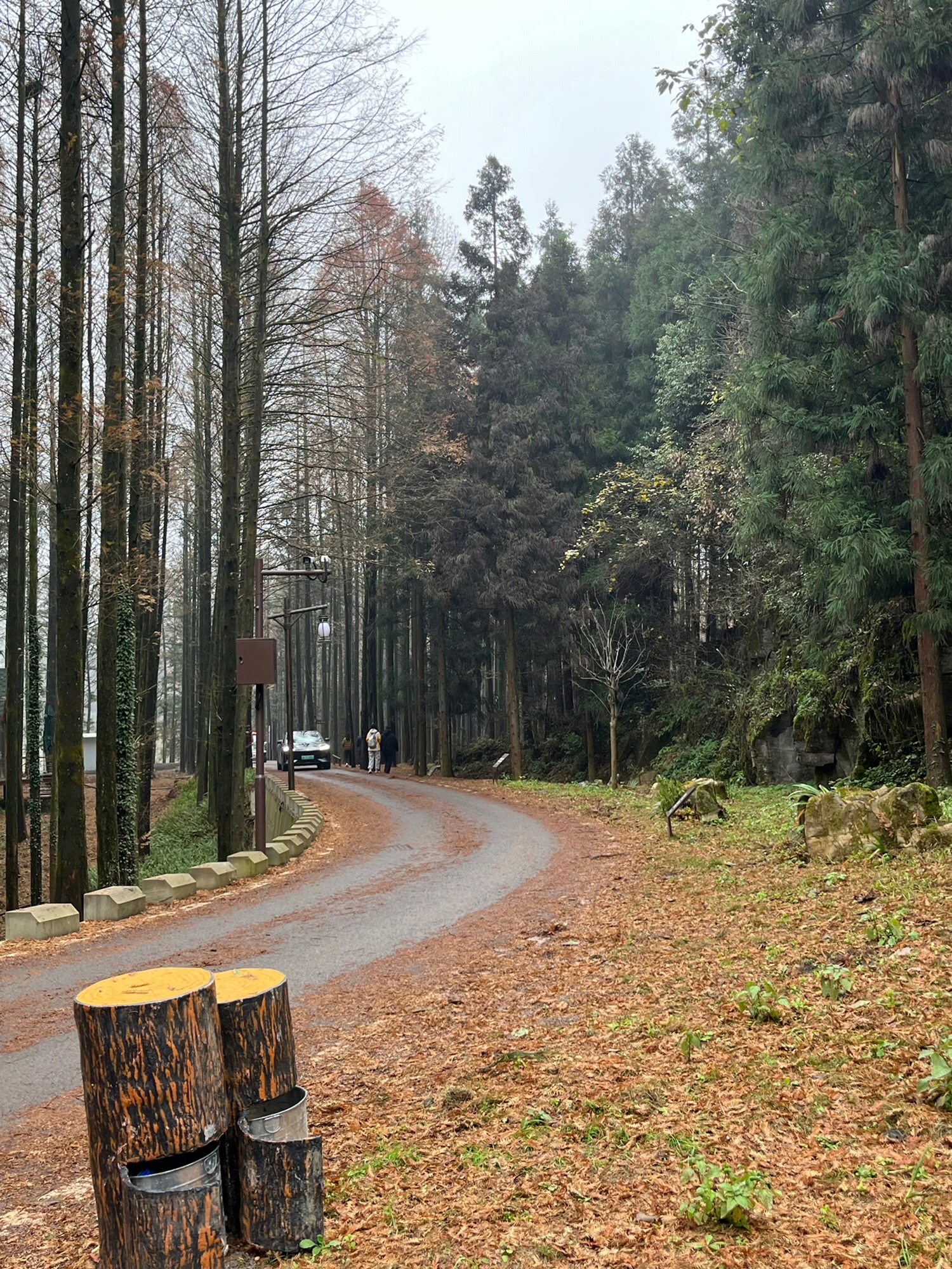 山王坪喀斯特国家生态公园旅行图片 1