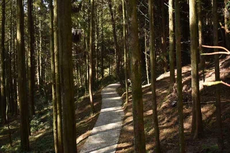 山王坪喀斯特国家生态公园旅行图片 3