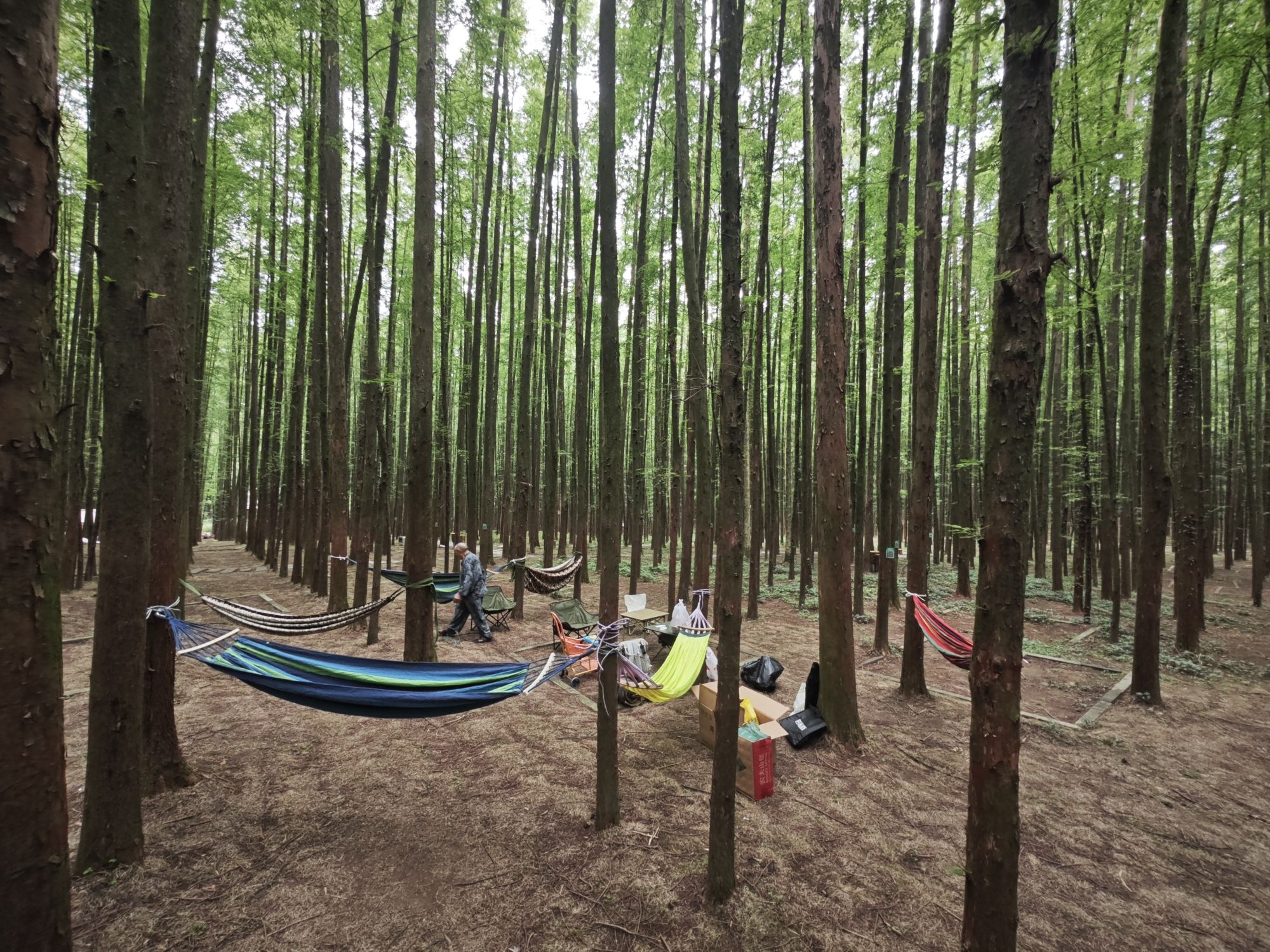 山王坪喀斯特国家生态公园旅行图片 1
