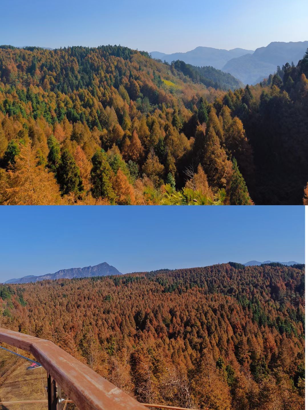 山王坪喀斯特国家生态公园