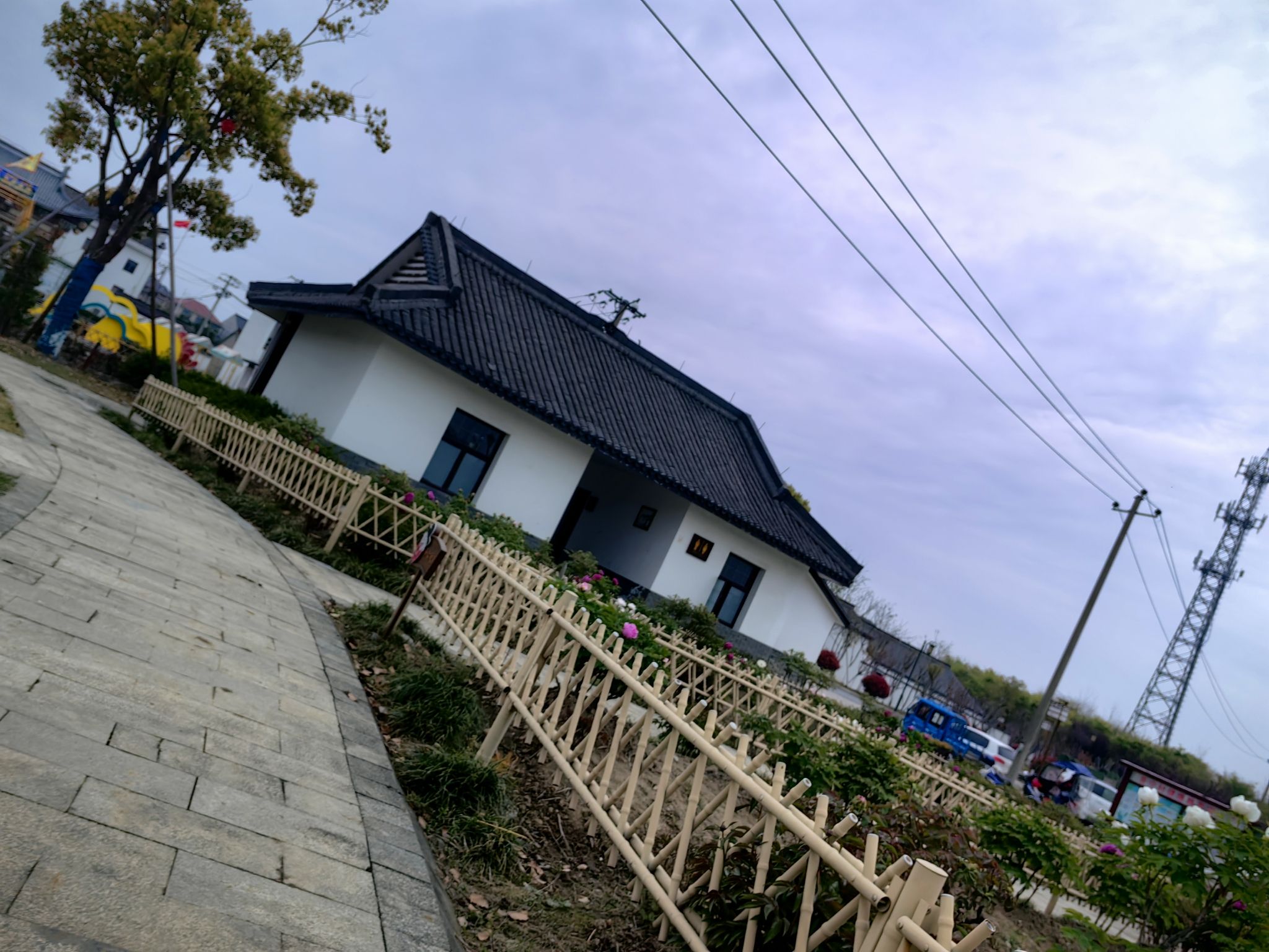 普宁牡丹园旅行图片 2