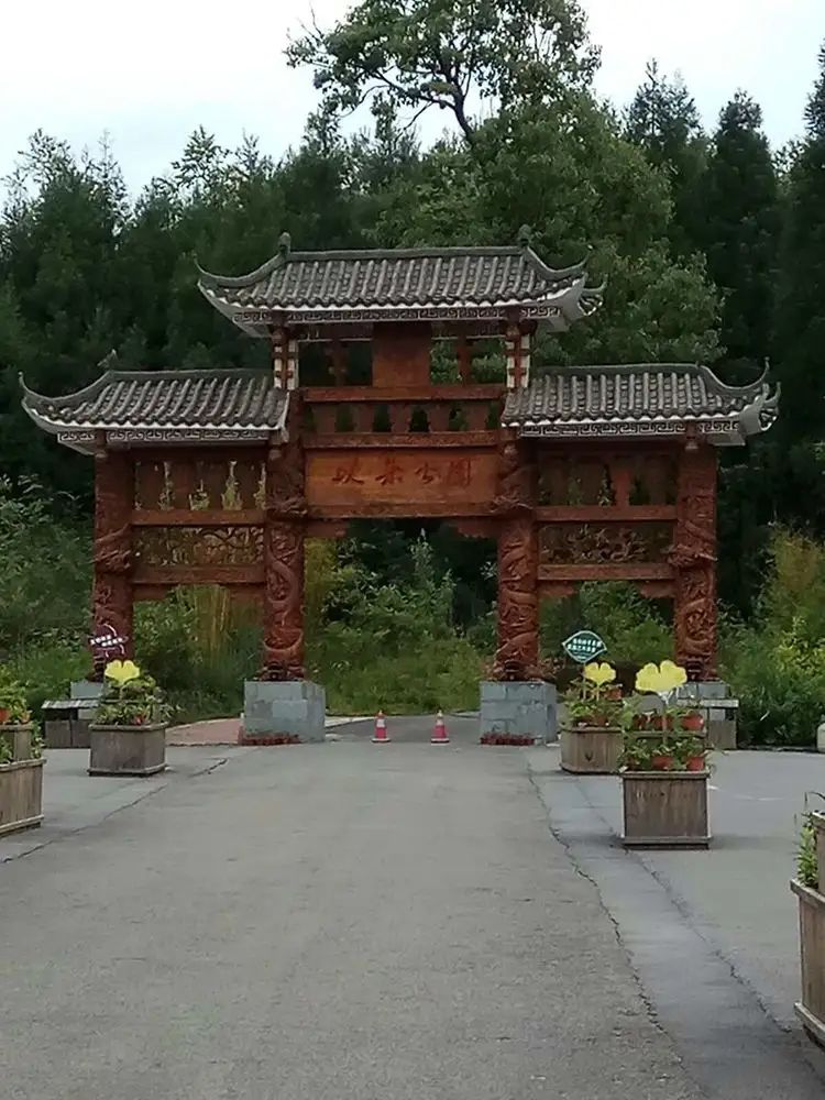 以朵森林公园旅行图片 1