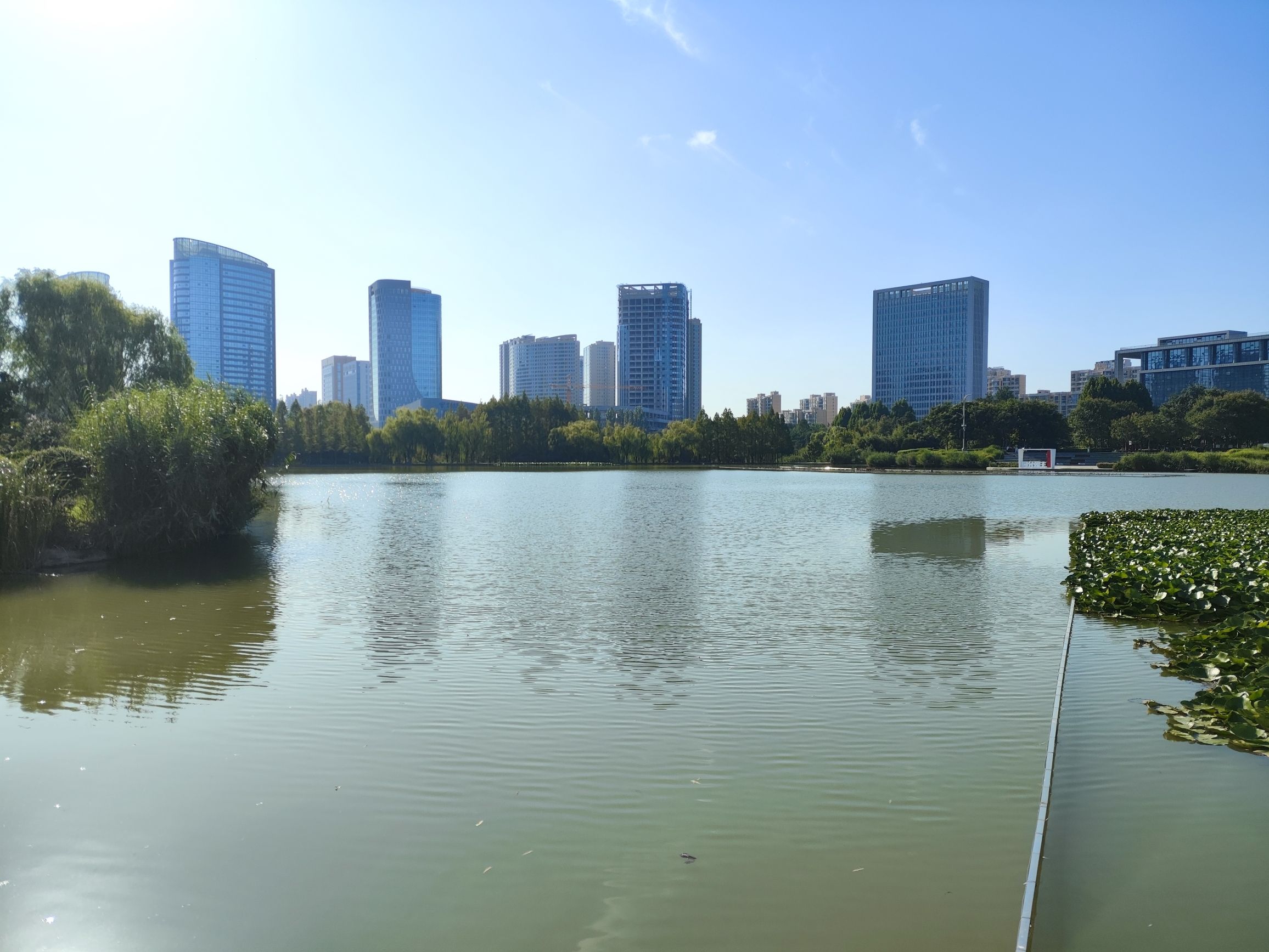 任城湿地公园旅行图片 1