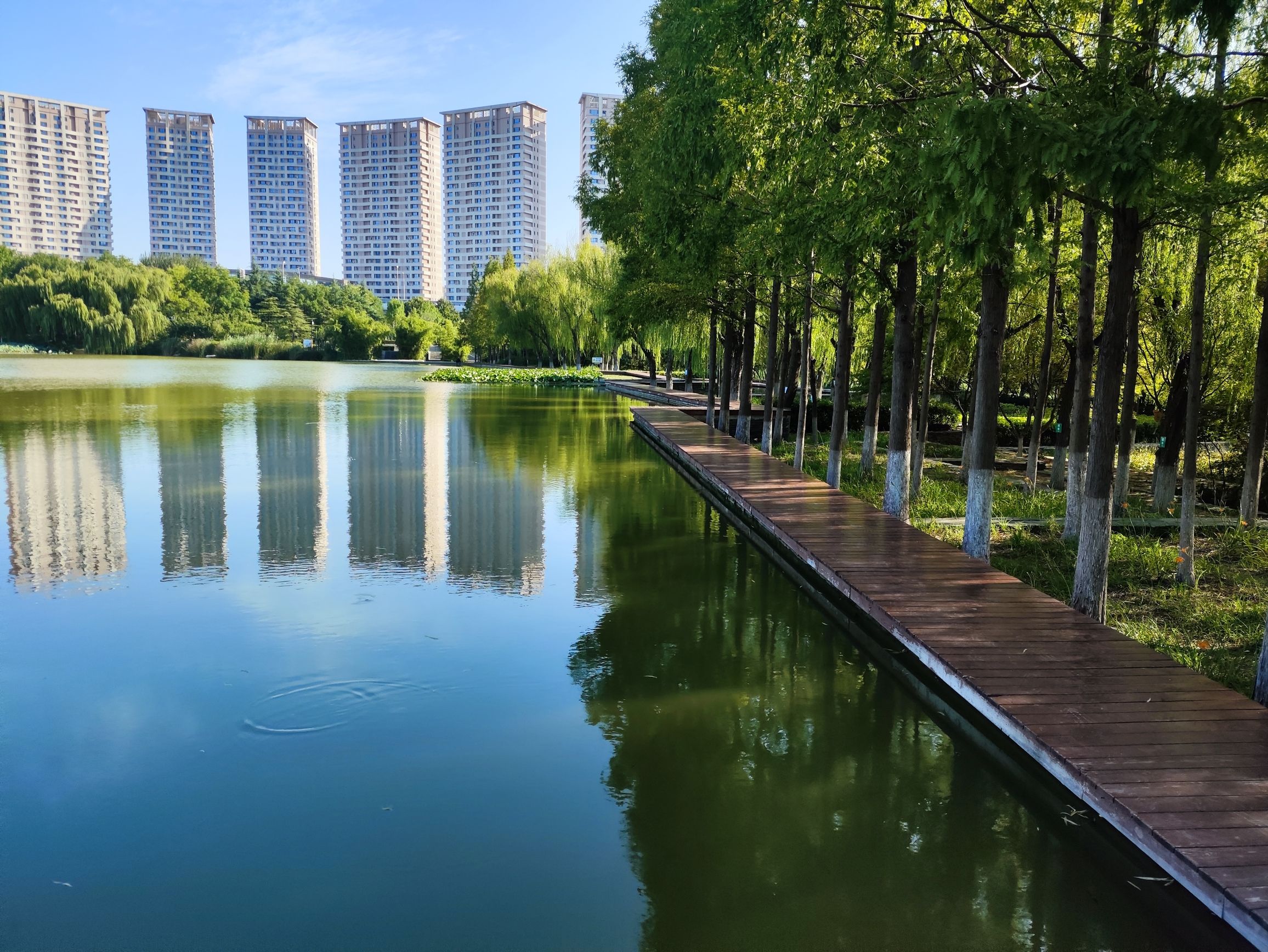 任城湿地公园旅行图片 2