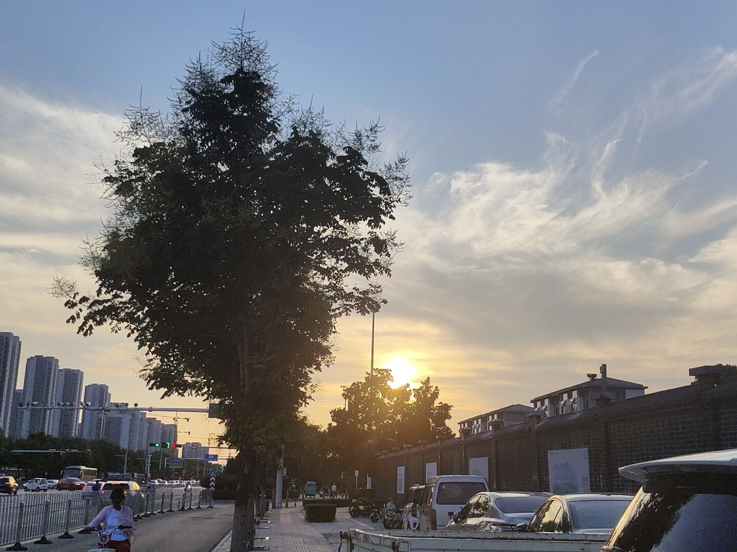 任城湿地公园旅行图片 2