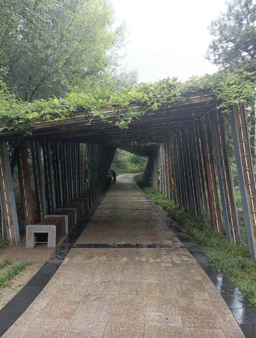 任城湿地公园旅行图片 3
