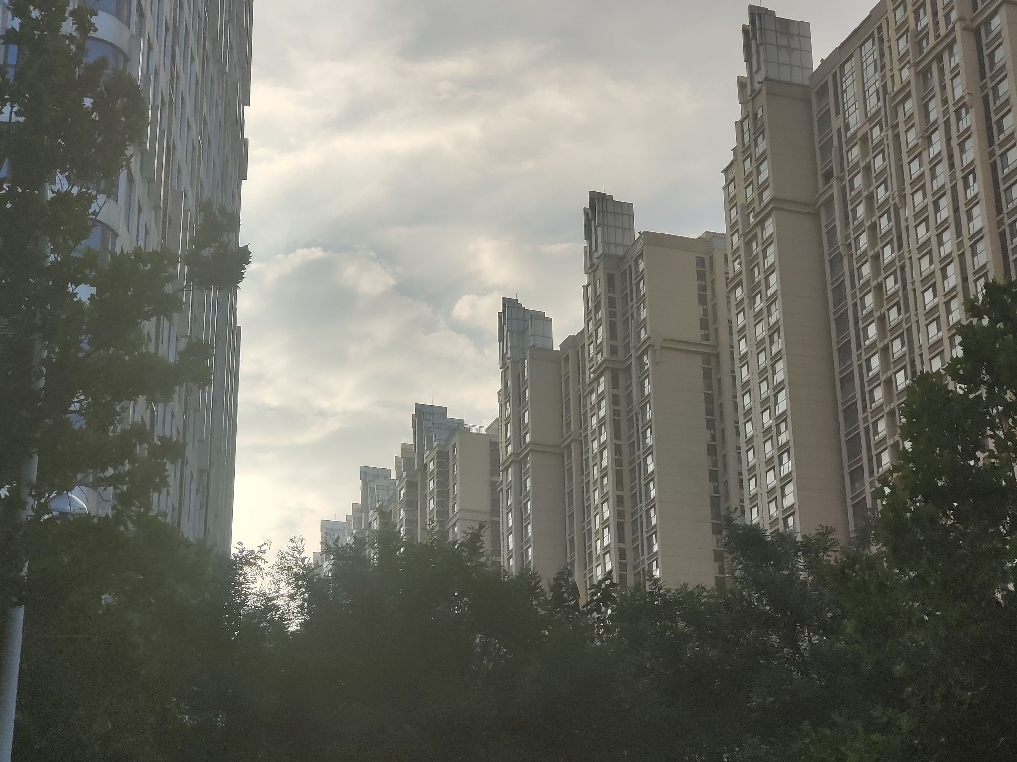 任城湿地公园旅行图片 1