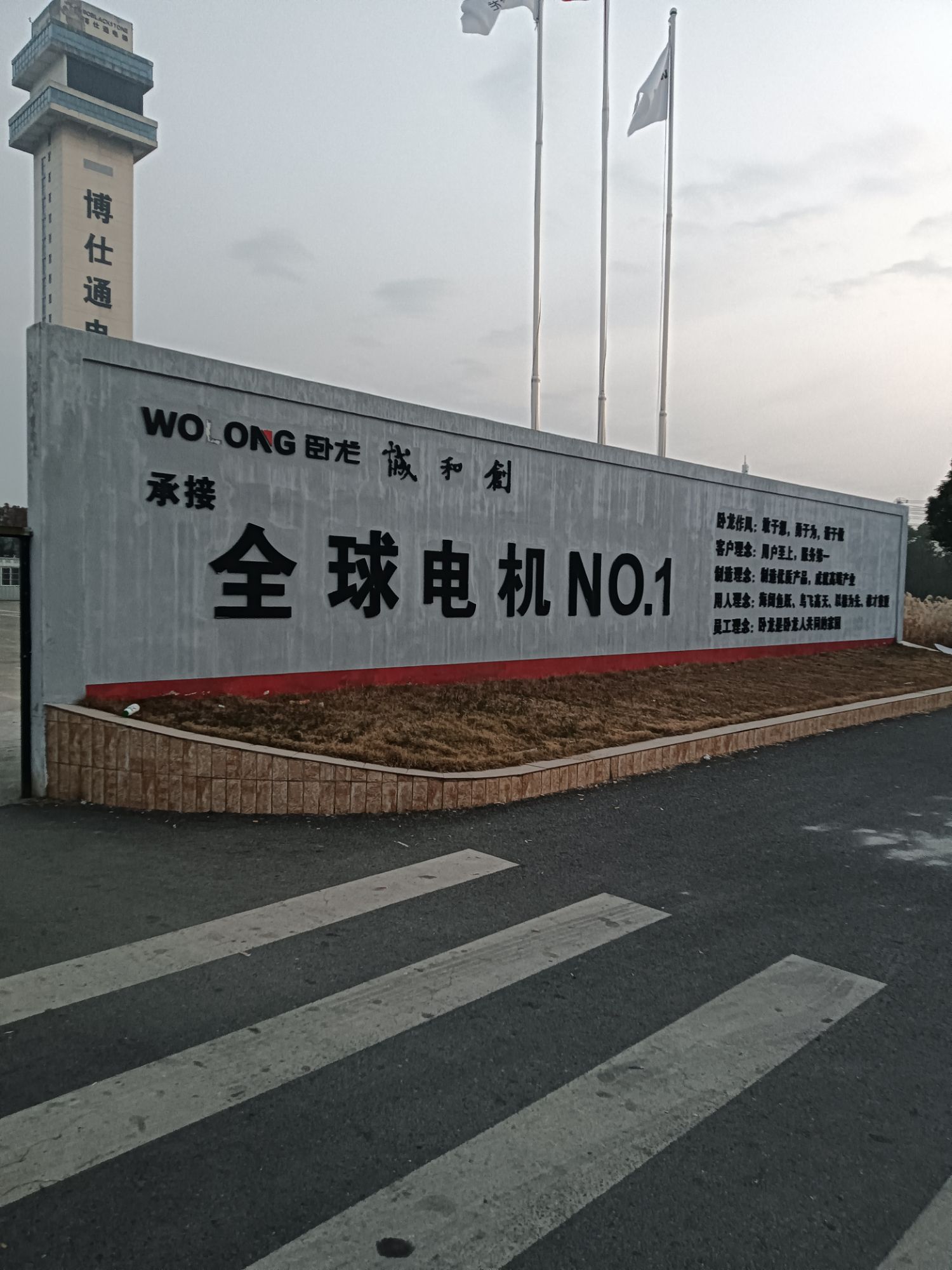 芜湖卧龙家用电机有限公司