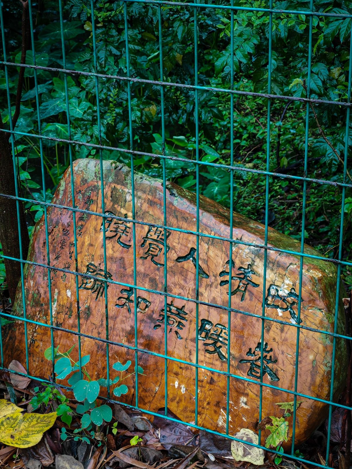 广州海珠国家湿地公园旅行图片 1