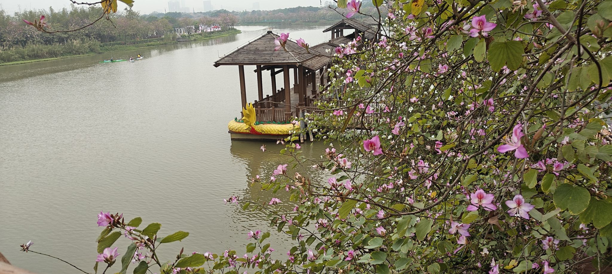 广州海珠国家湿地公园旅行图片 2