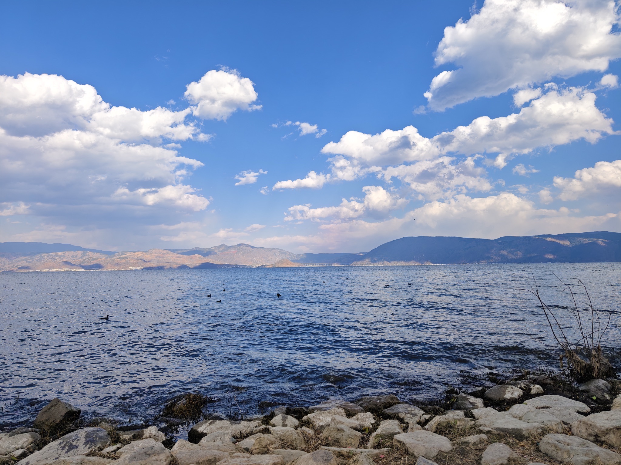 广州海珠国家湿地公园旅行图片 2