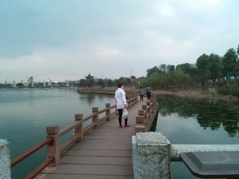 顺湖公园旅行图片 2