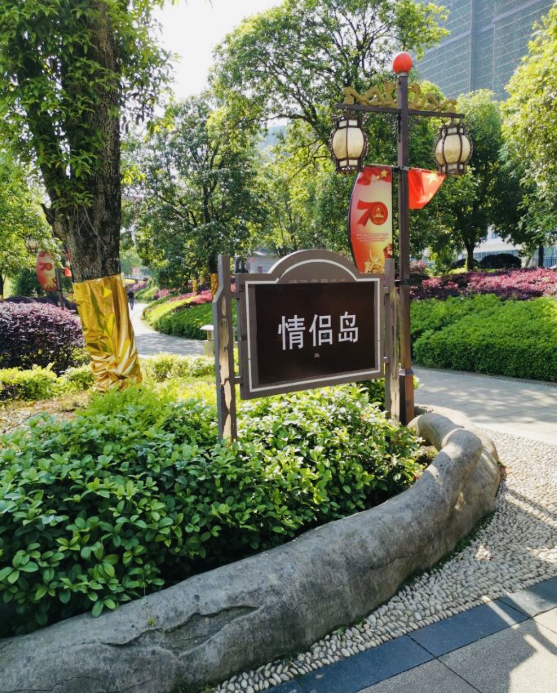 顺湖公园旅行图片 1